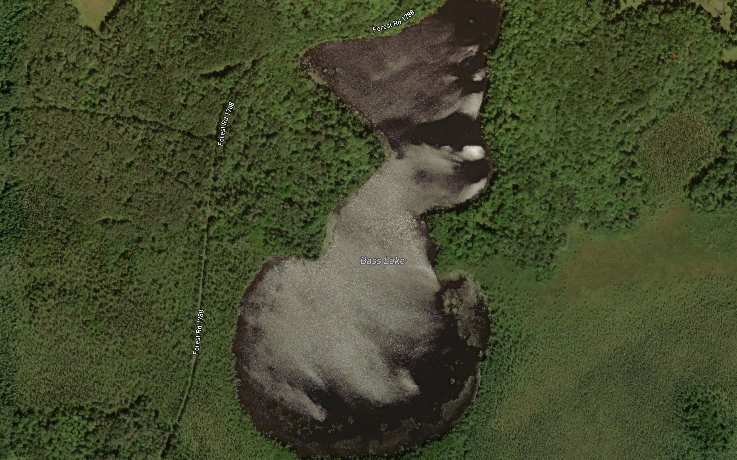 Bass Lake