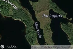 Maurunjoki