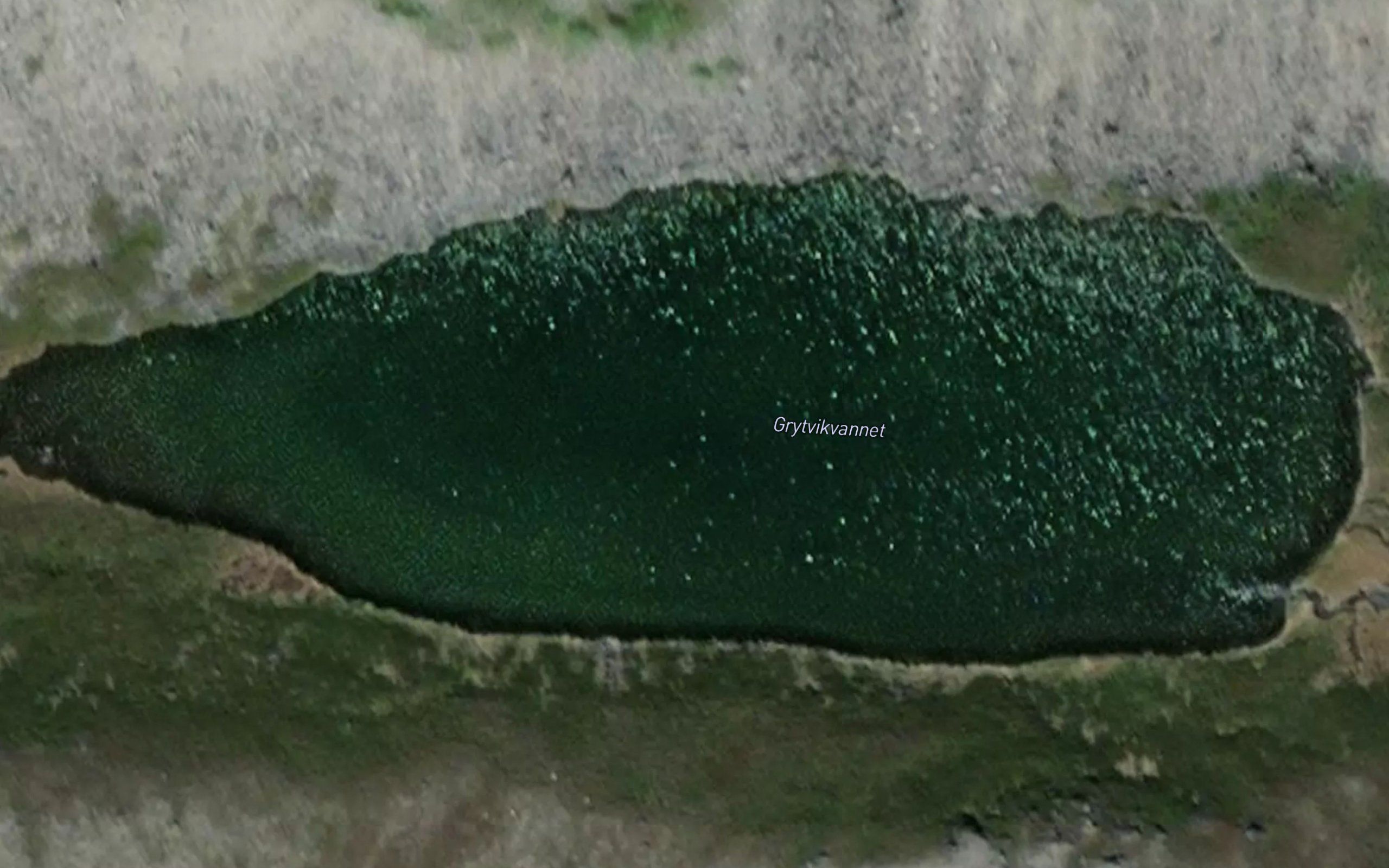 Grytvikvatnet