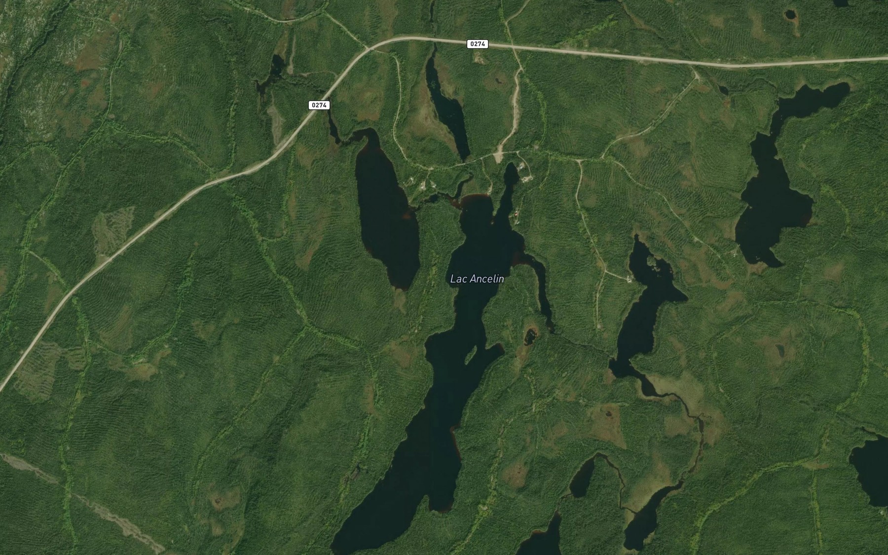 Satellite map of the Lac Ancelin