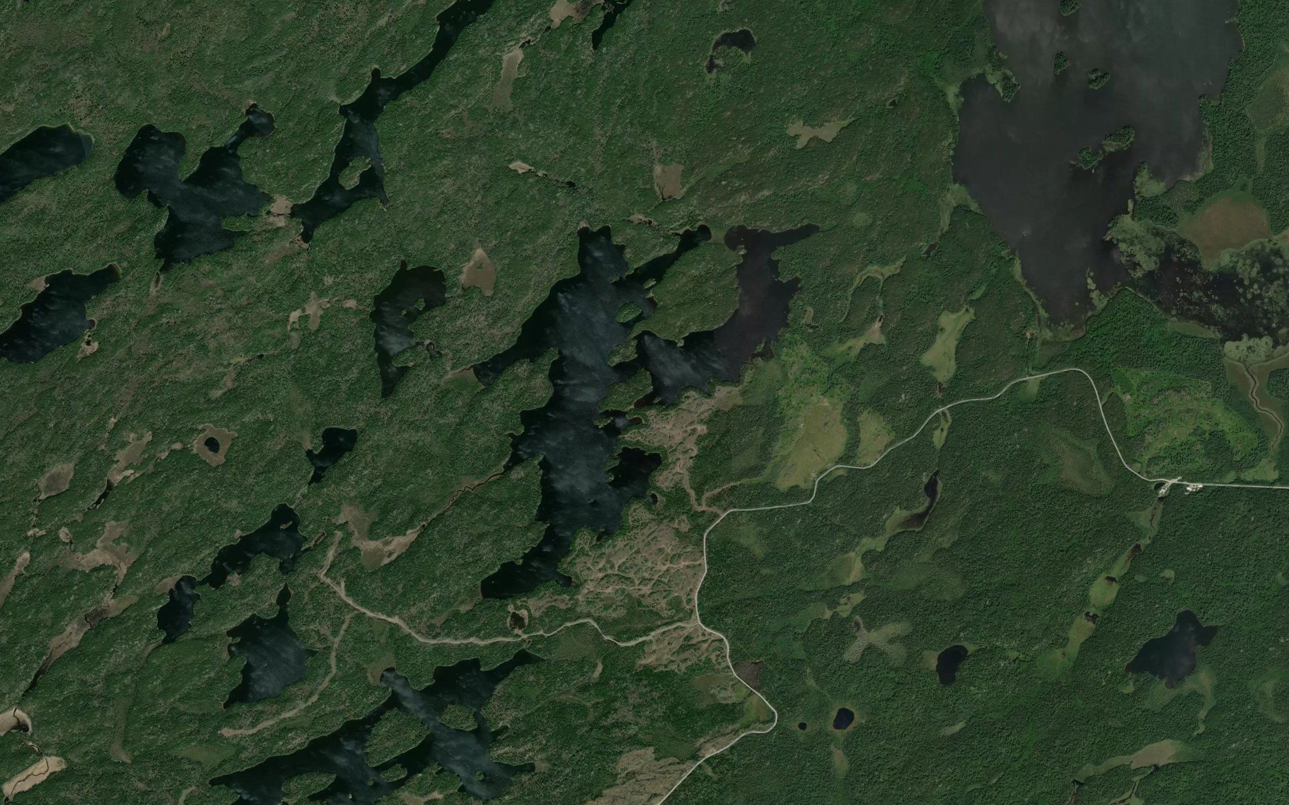 Mulcahy Lake