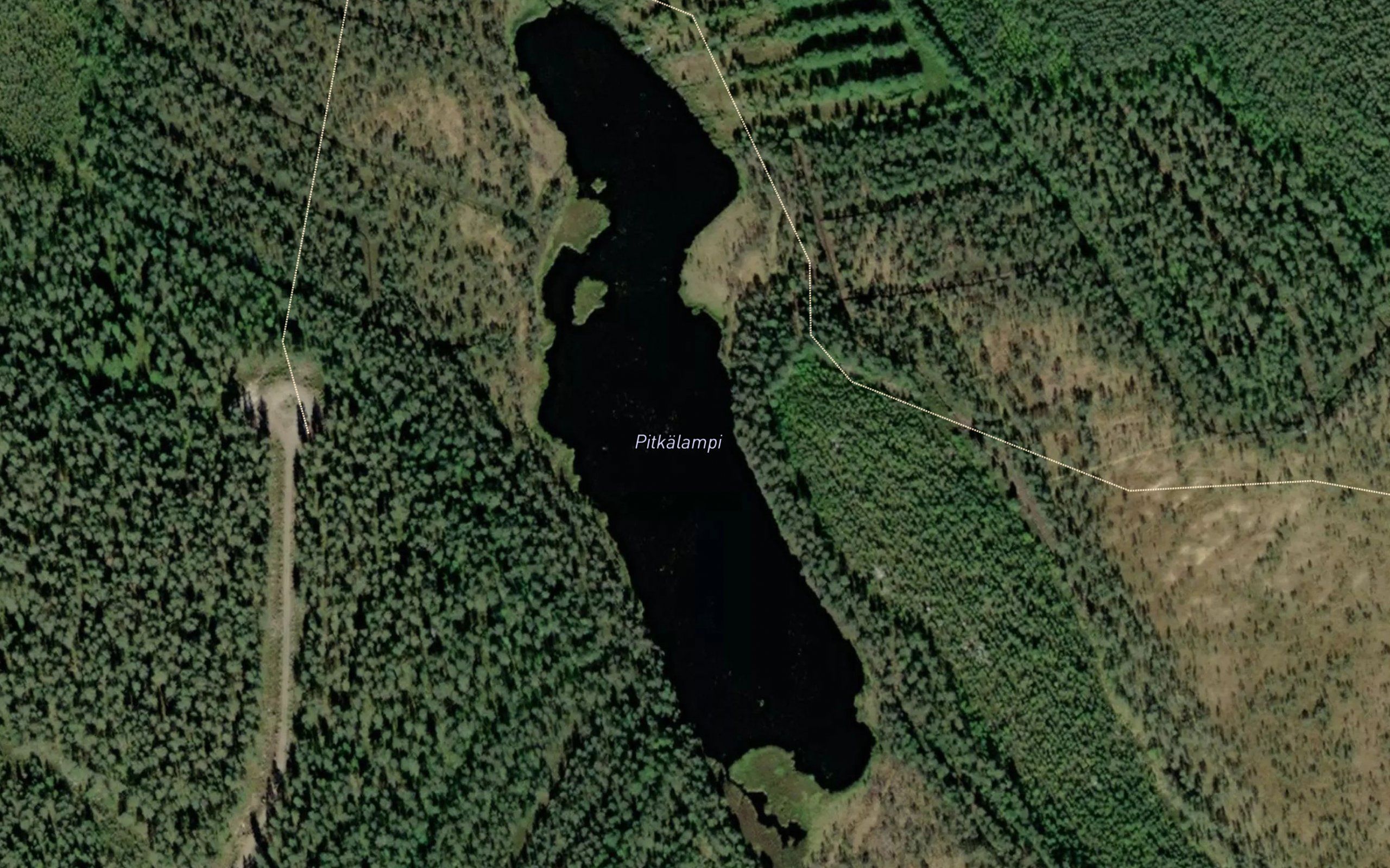 Pitkalampi