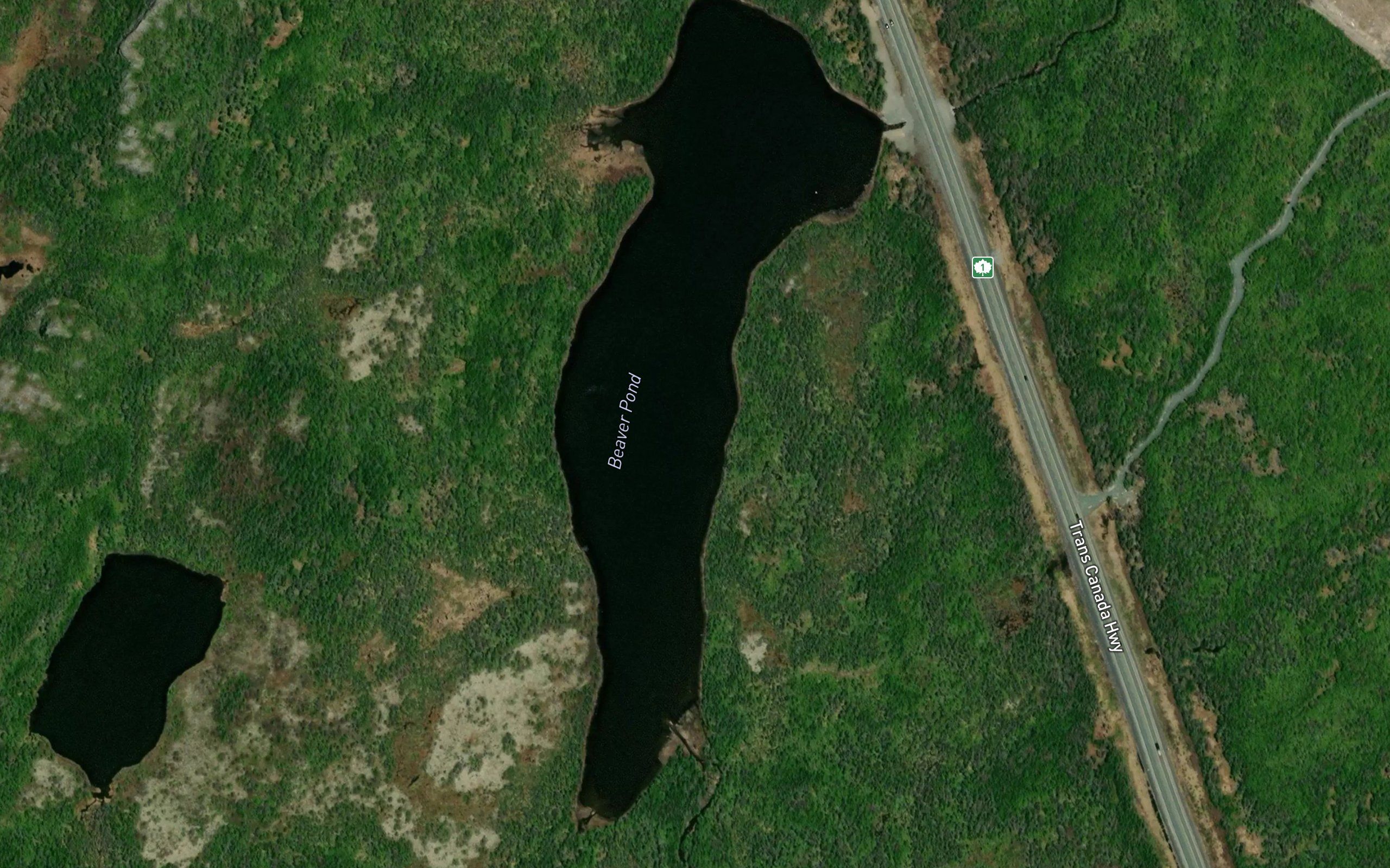 Beaver Pond
