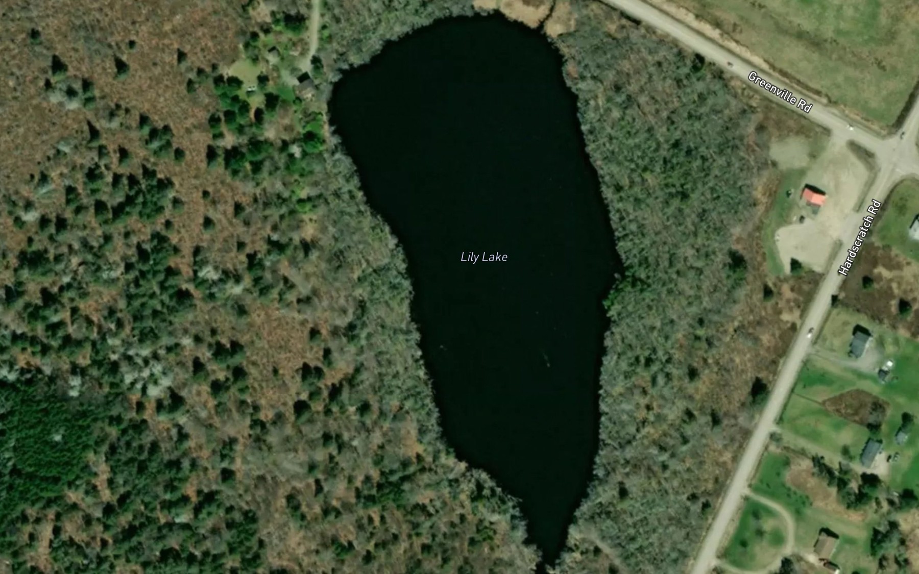 Satellite map of the Lily Lake