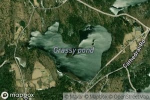 Grassy Pond