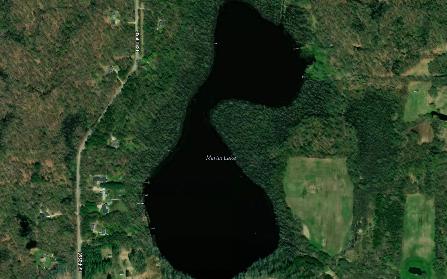 Satellite map of the Martin Lake