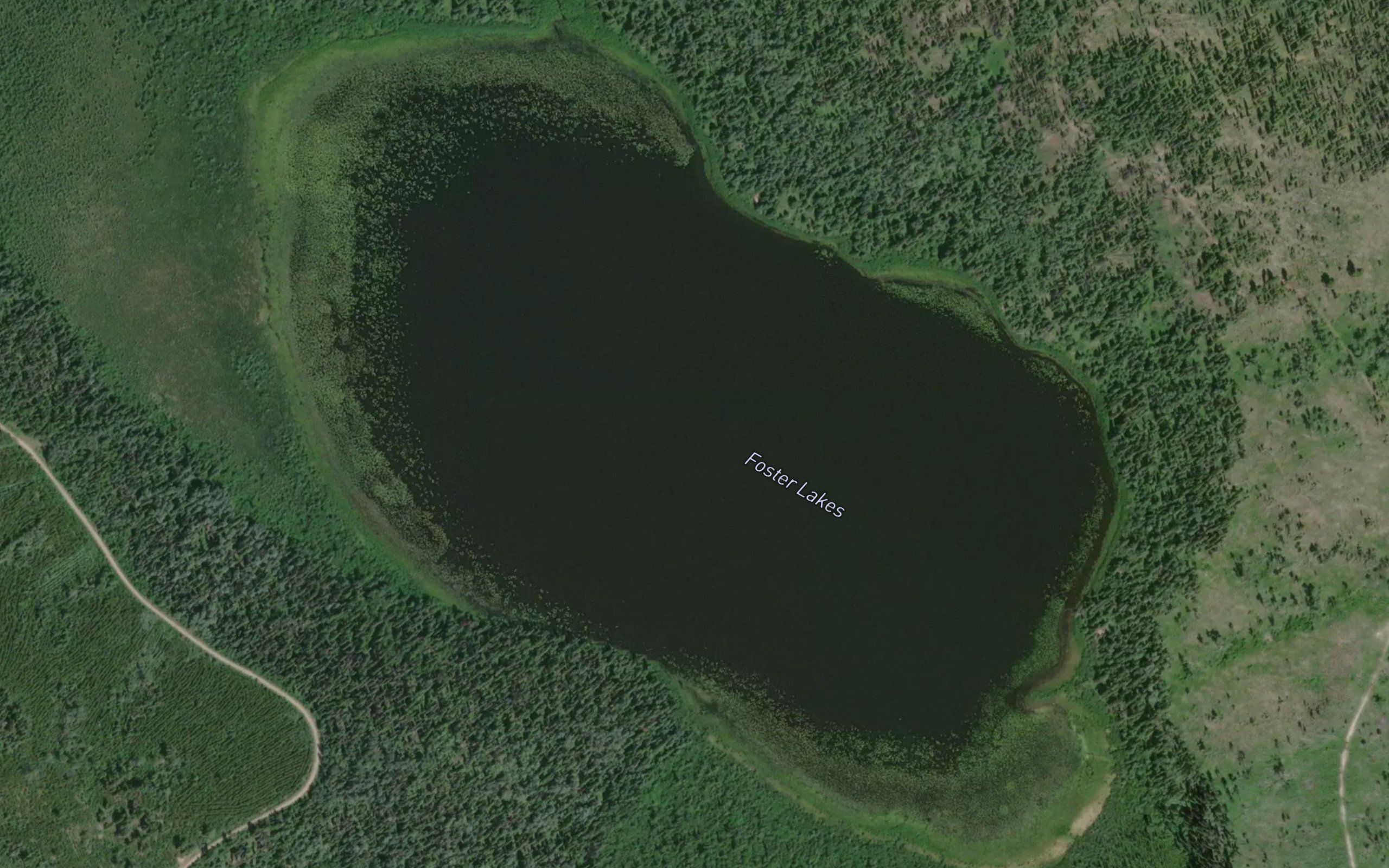 Foster Lakes