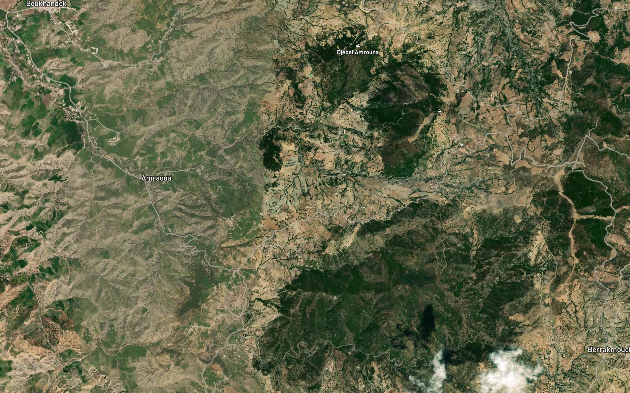 Ain el Arri