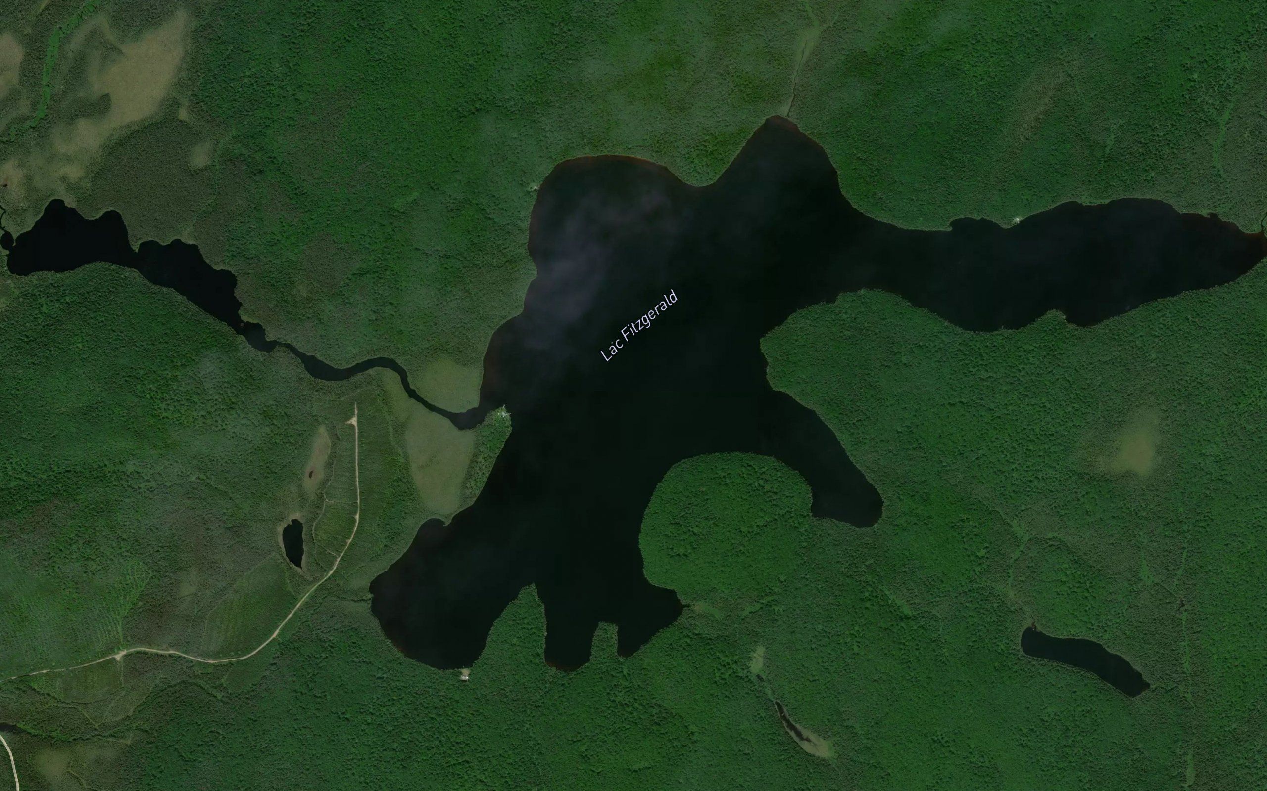 Lac Fitzgerald