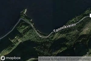 Buttulsbugen