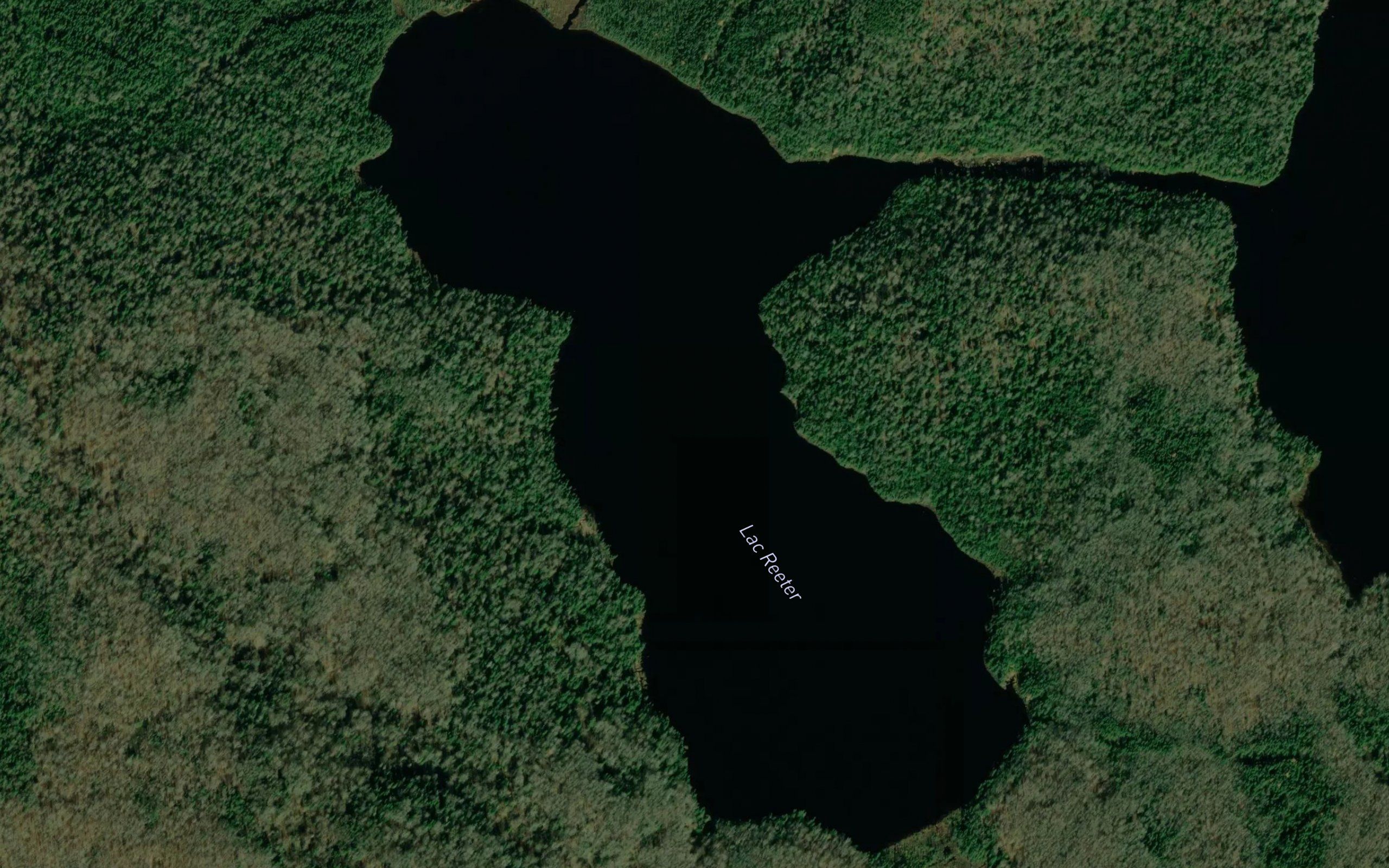 Lac Reeter