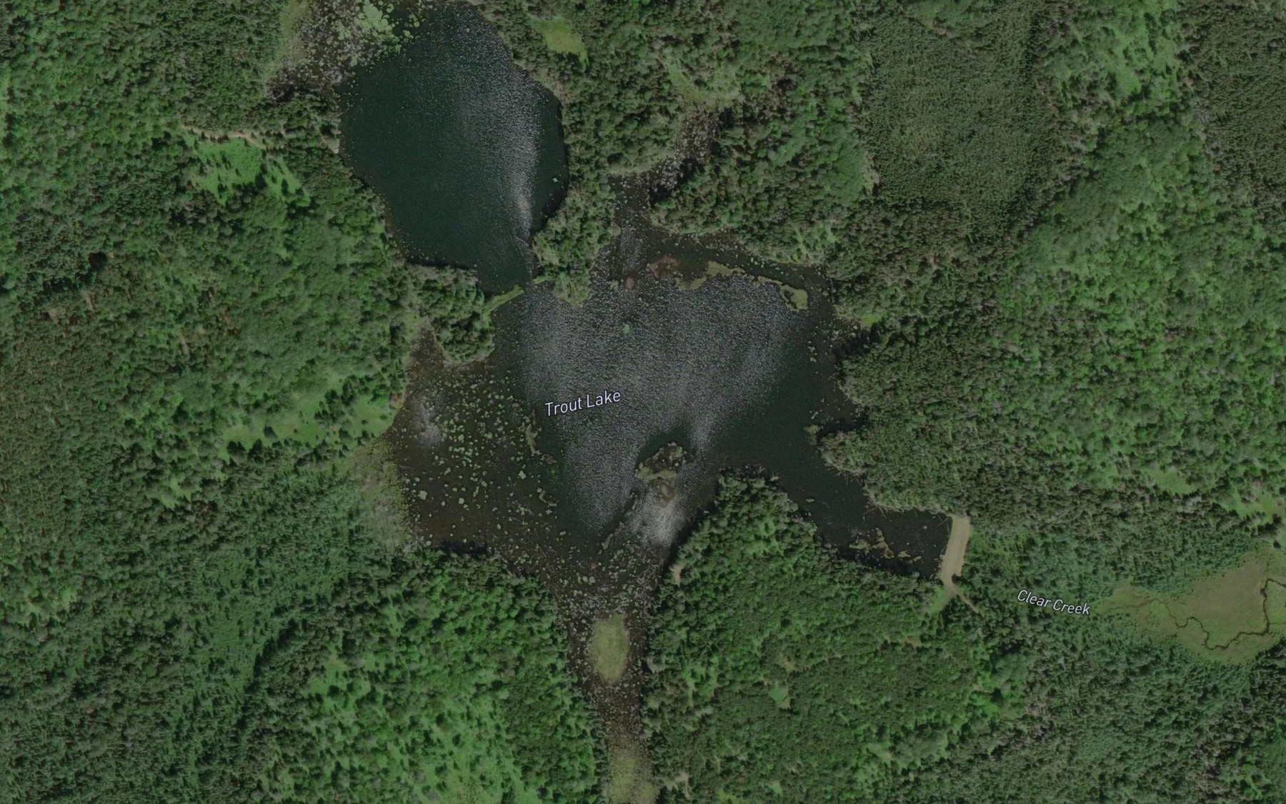 Satellite map of the Trout Lake