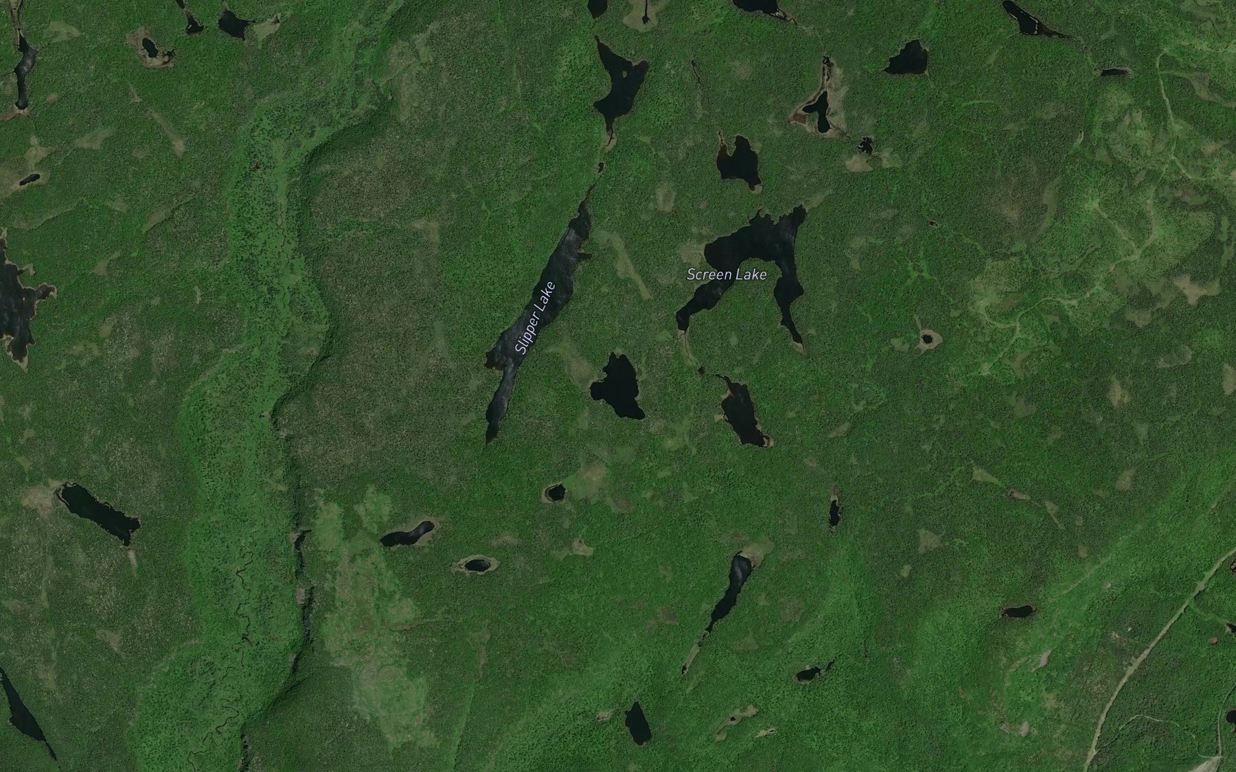 Satellite map of the Froggy Lake
