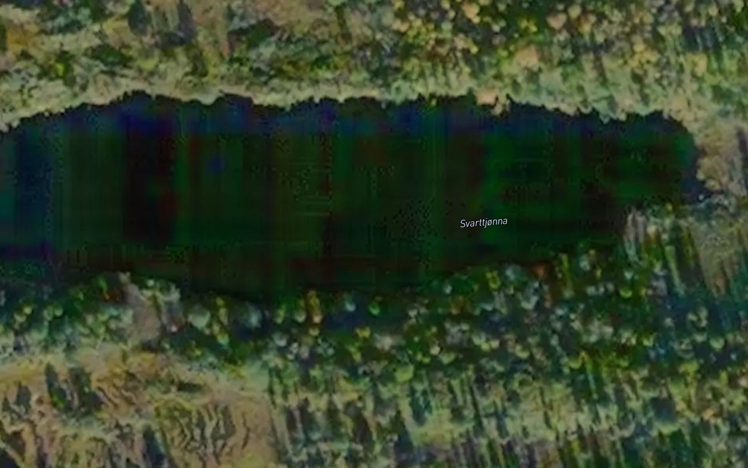 Svarttjorna