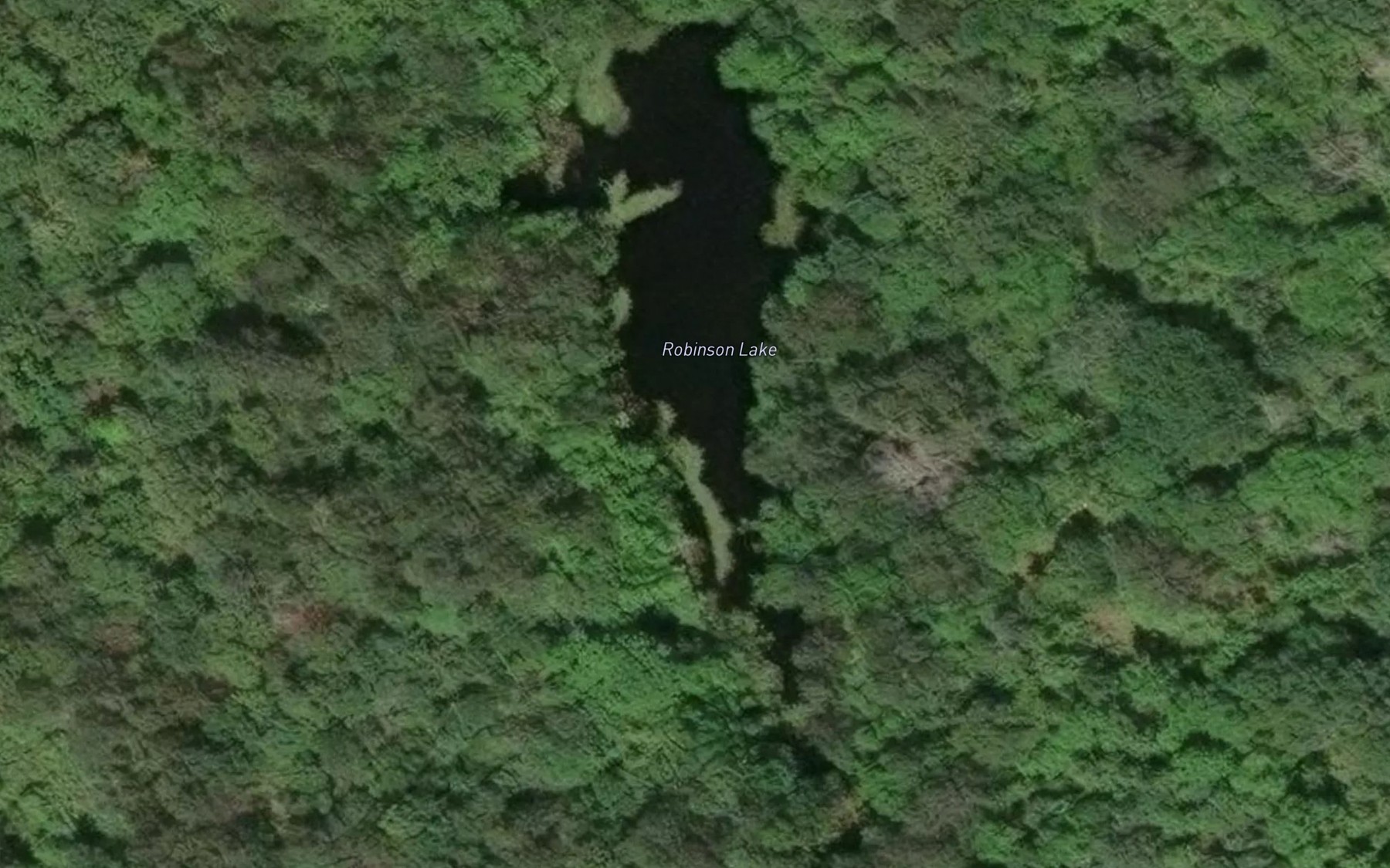 Satellite map of the Robinson Lake