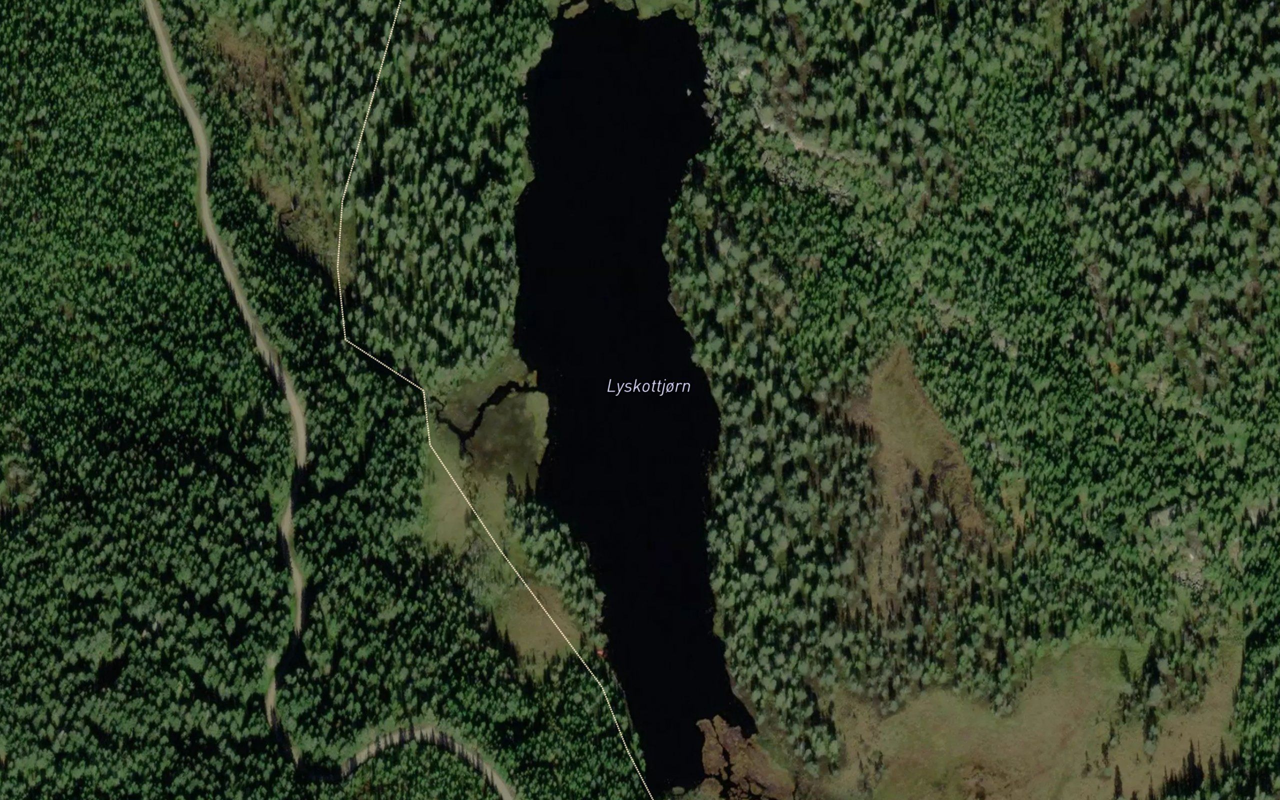 Lyskottjern