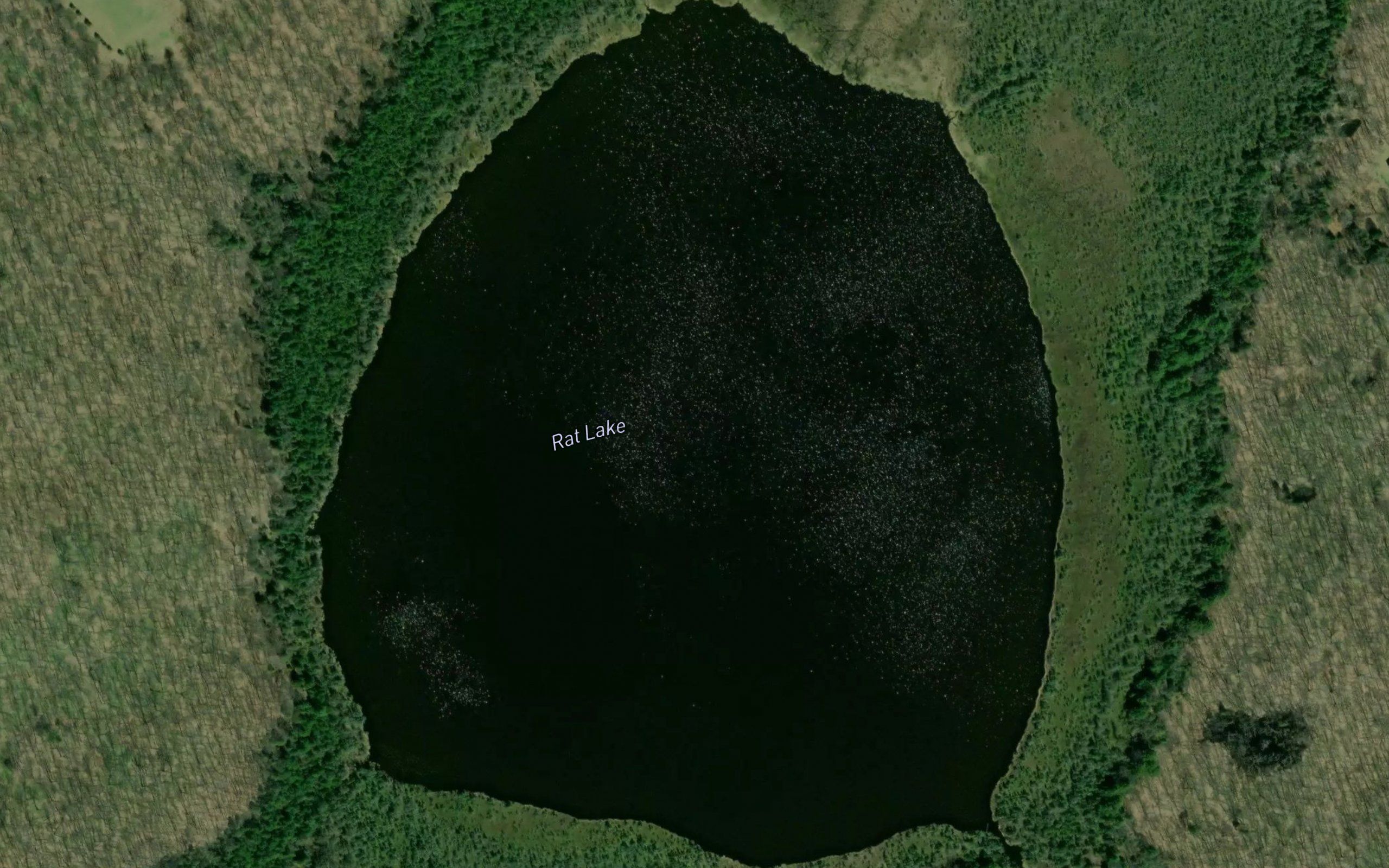 Rat Lake