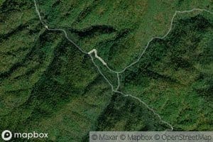 Camp Moss Creek