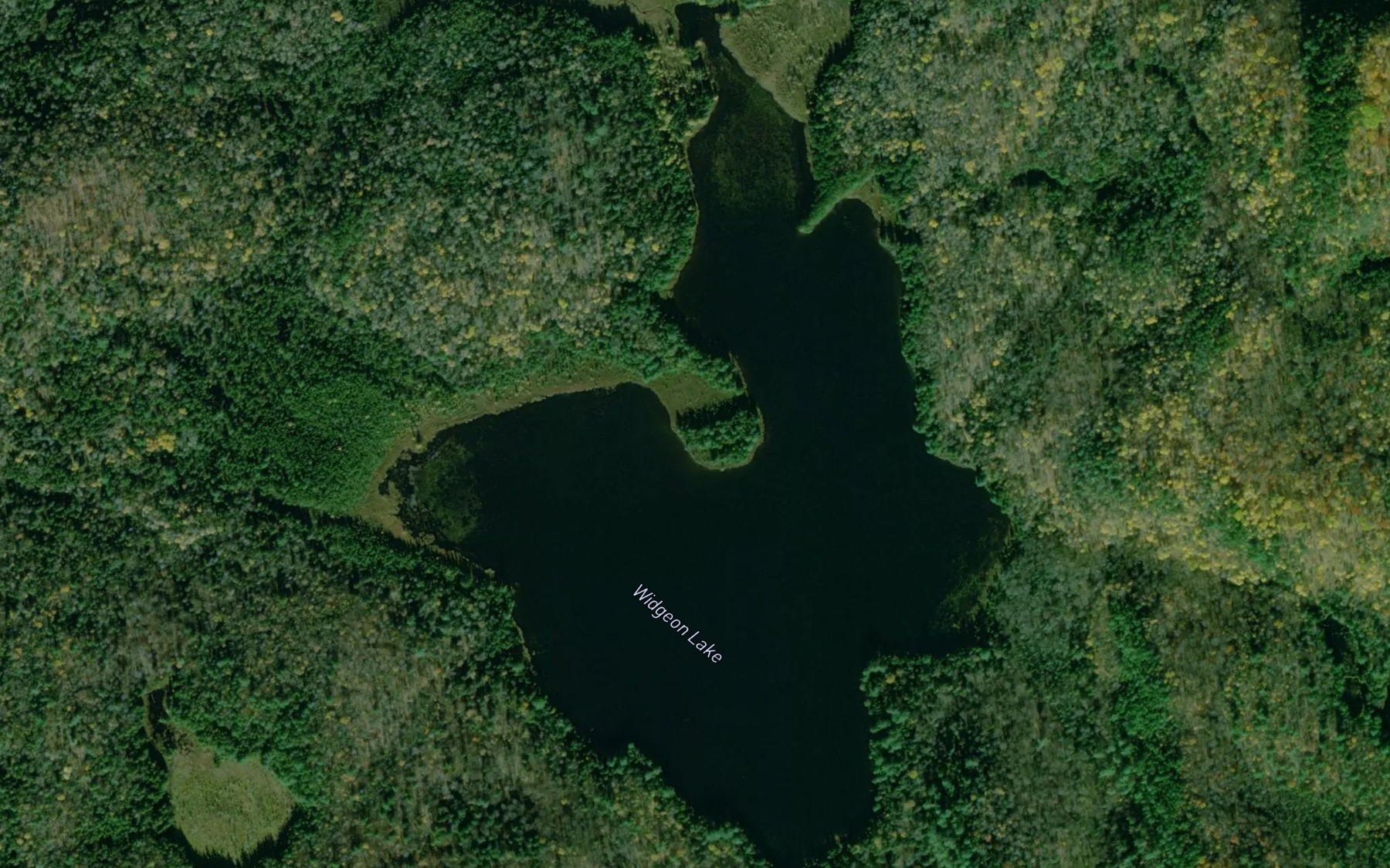 Satellite map of the Widgeon Lake