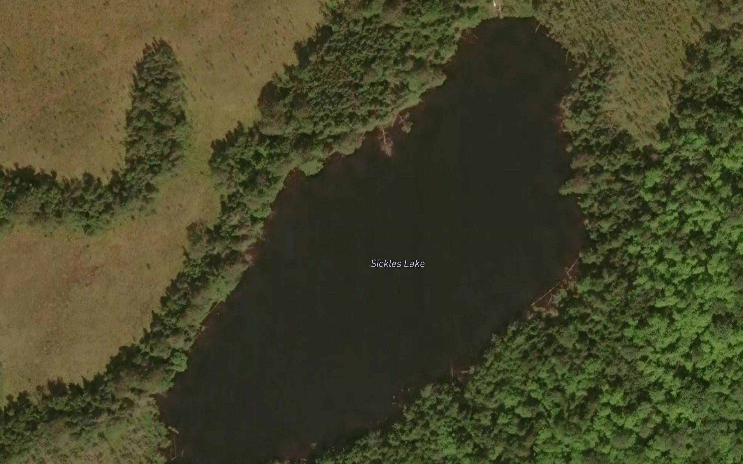 Sickles Lake