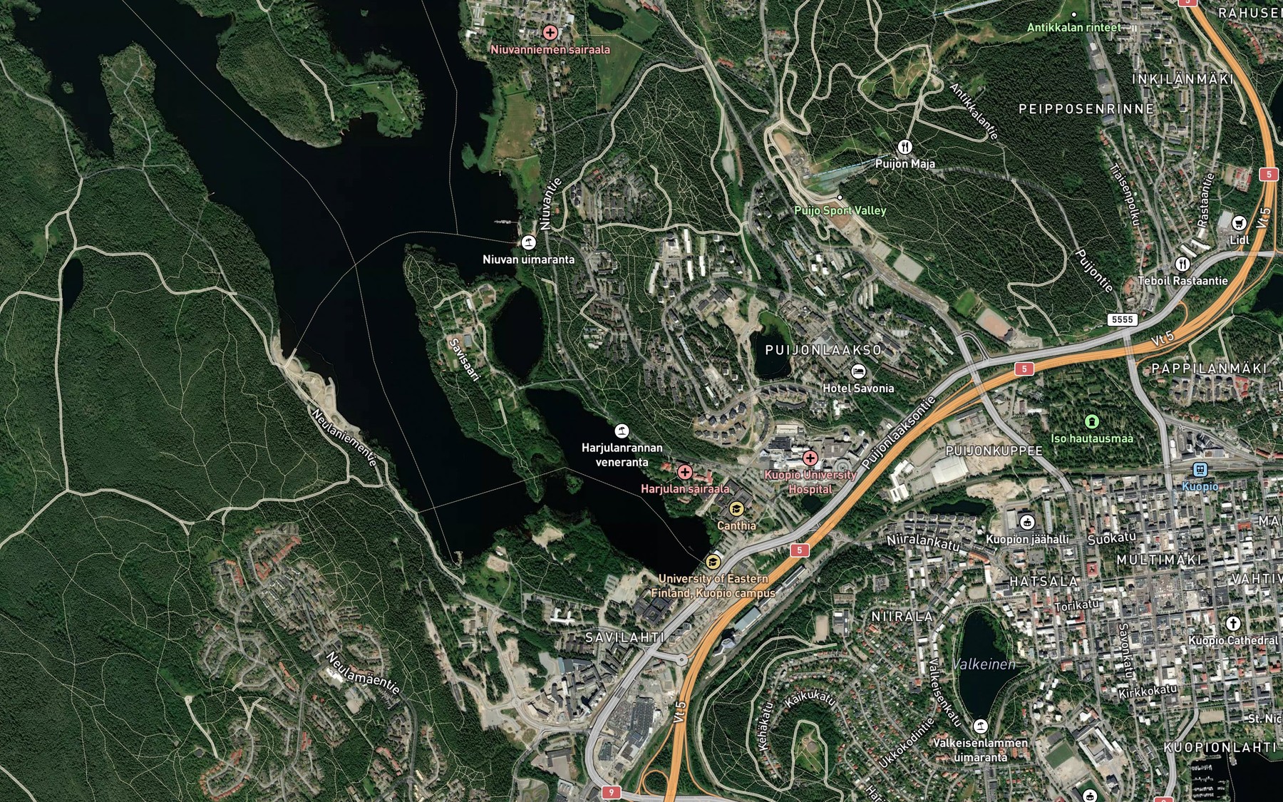 Satellite map of the Savilahti