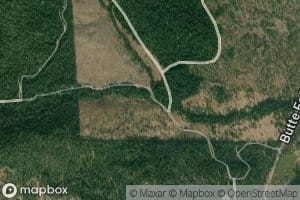 South Fork Vine Maple Creek