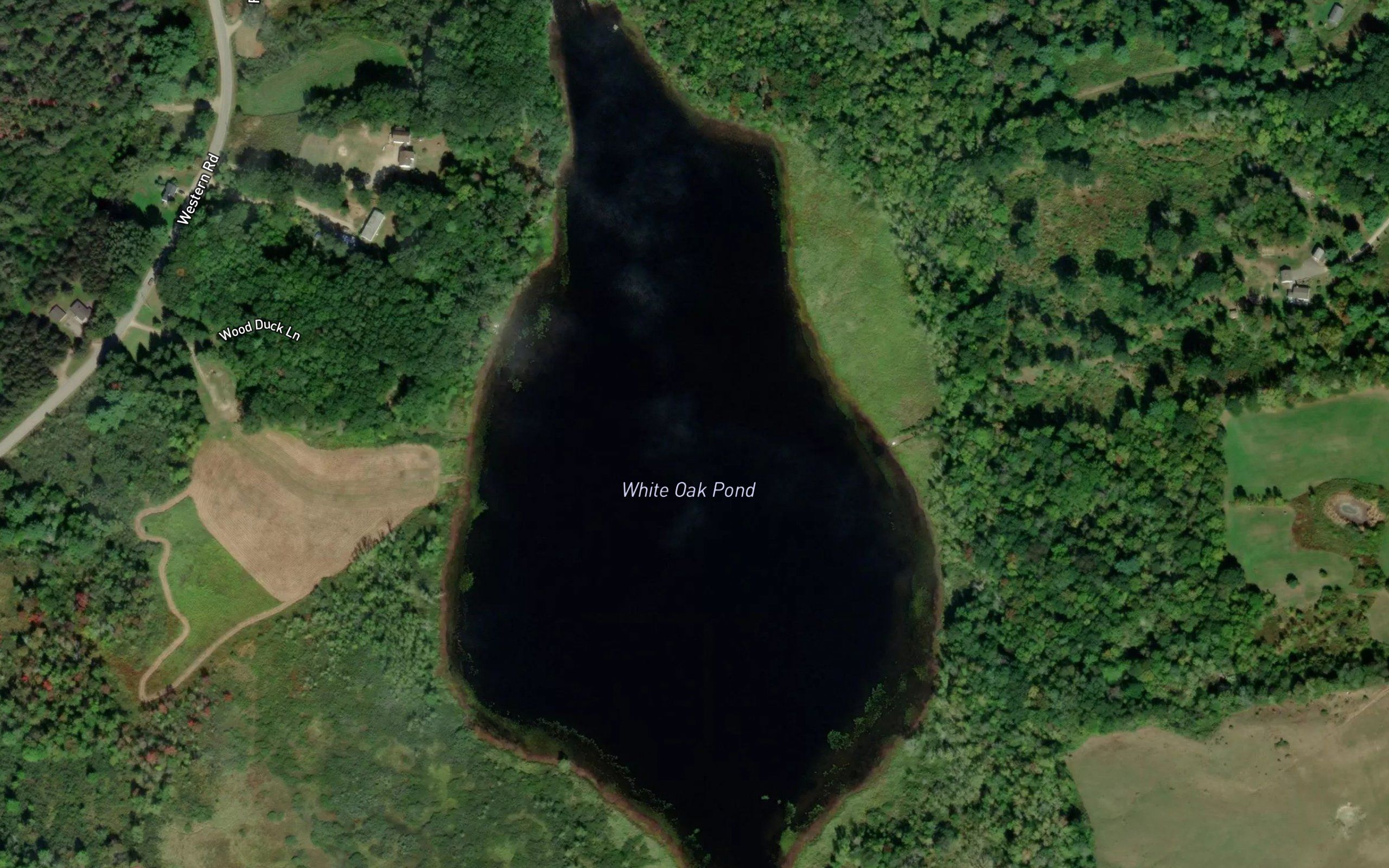 White Oak Pond