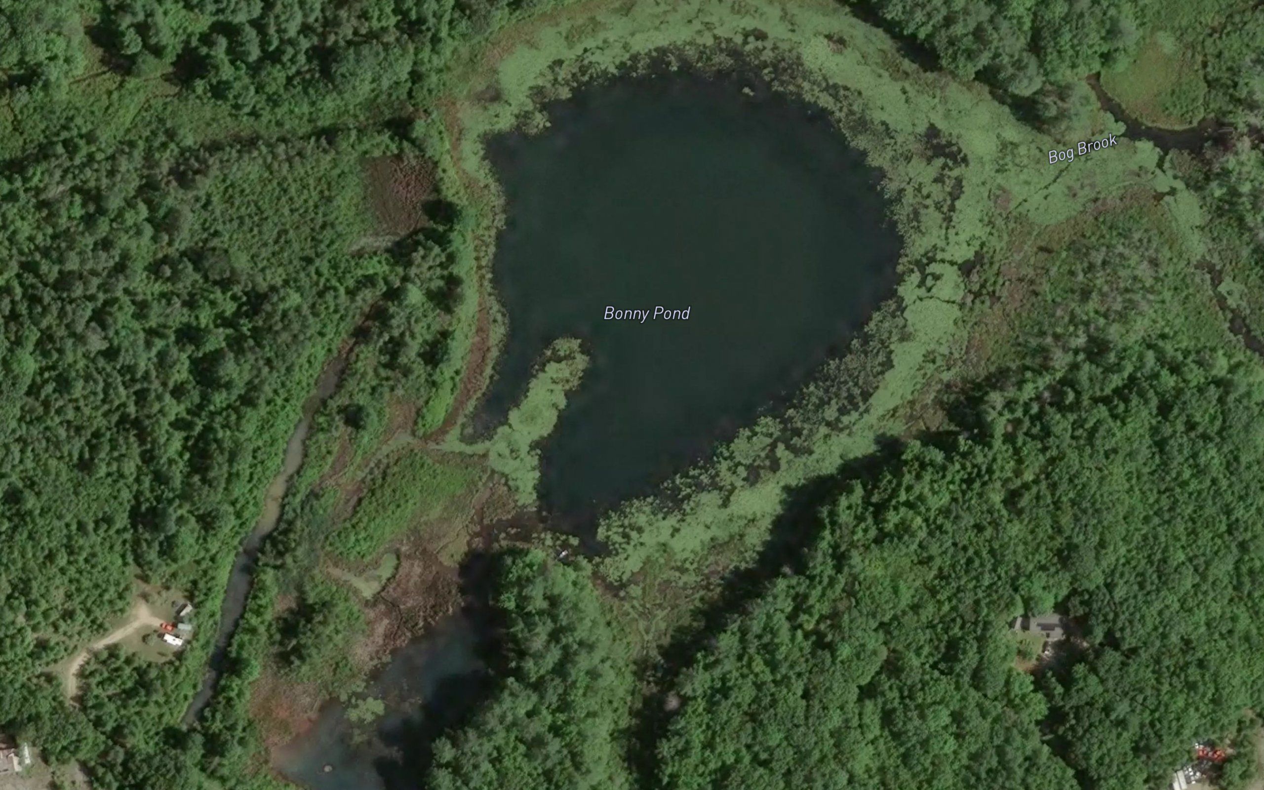 Bonny Pond