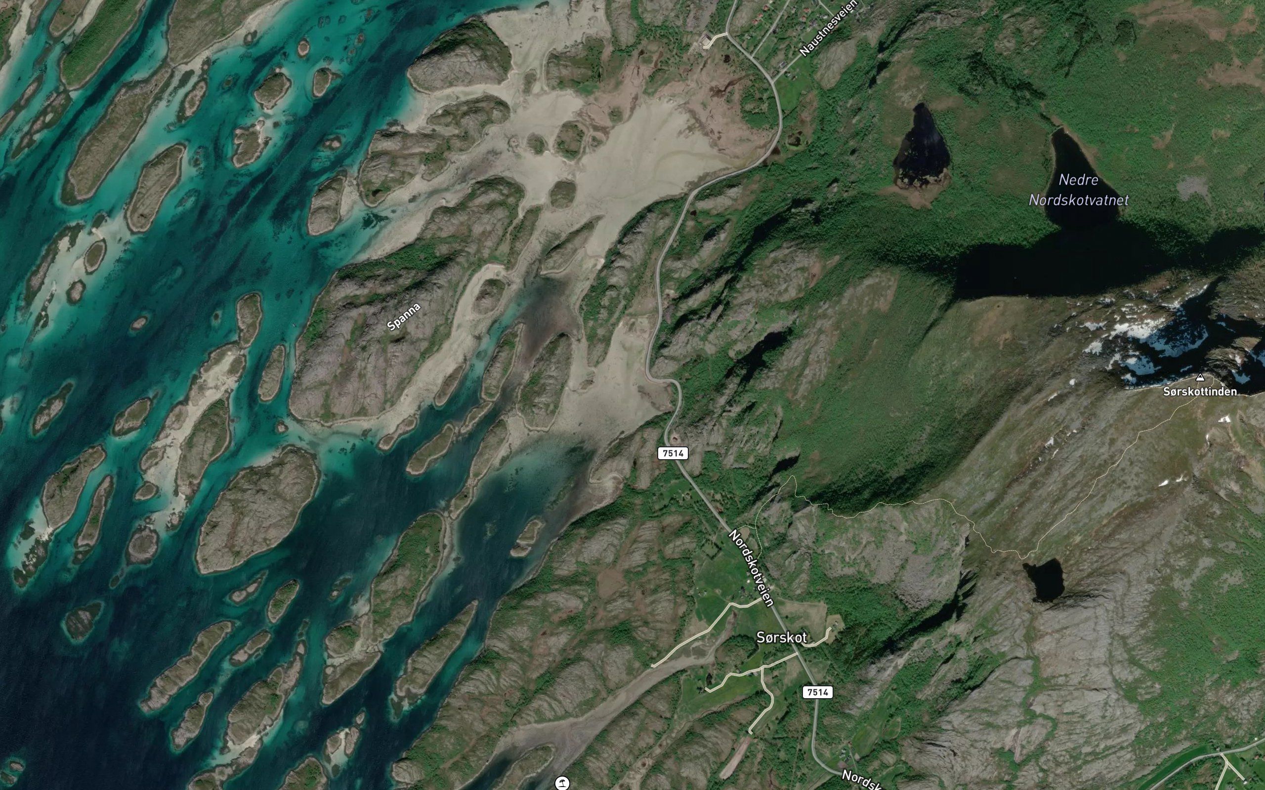 Skjeggvikosen