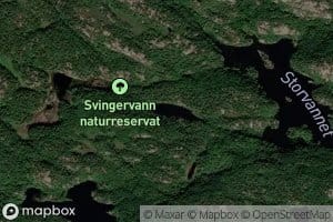 Bispetjonn