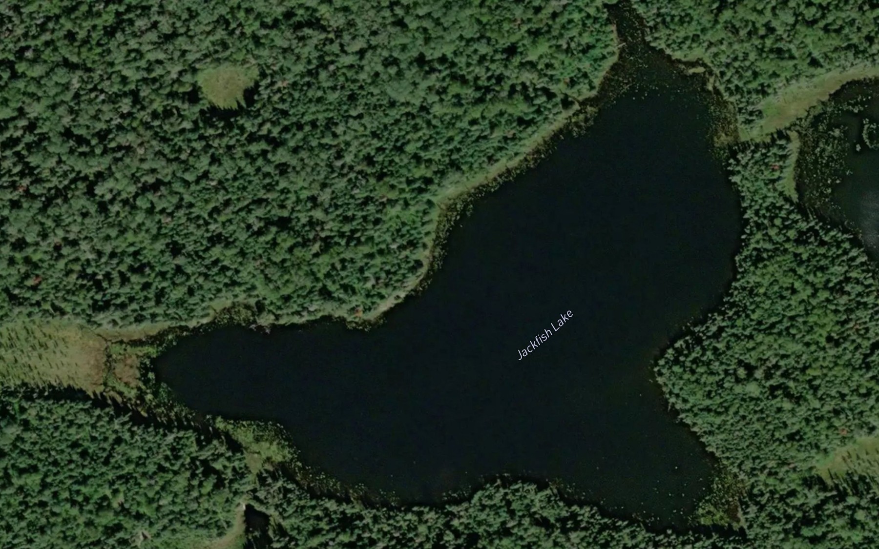 Satellite map of the Jackfish Lake