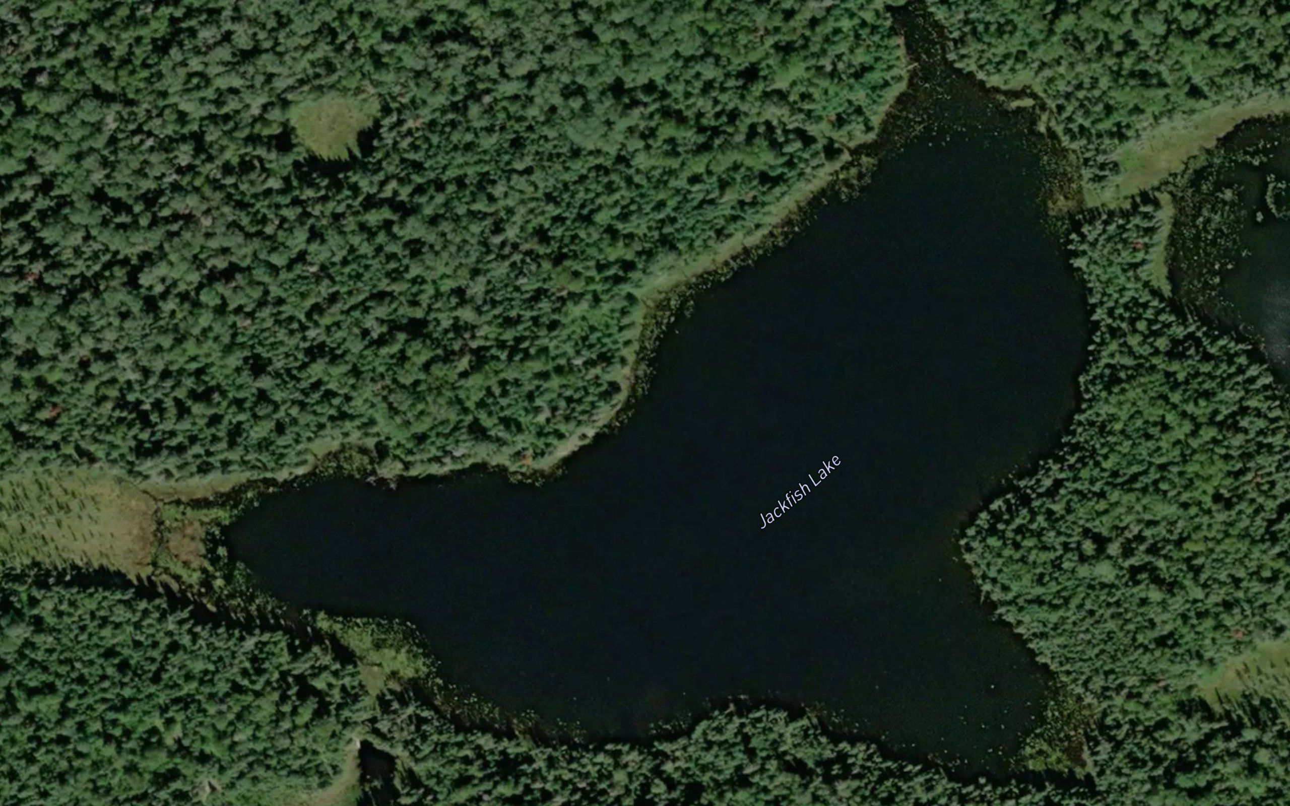 Jackfish Lake