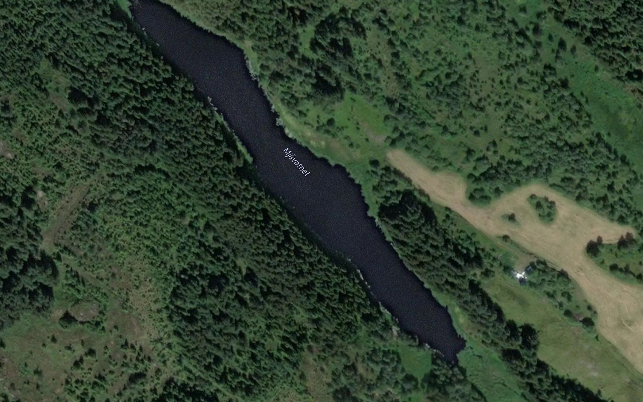 Mjavatnet