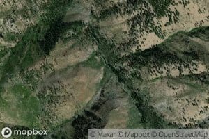 Thicket Creek