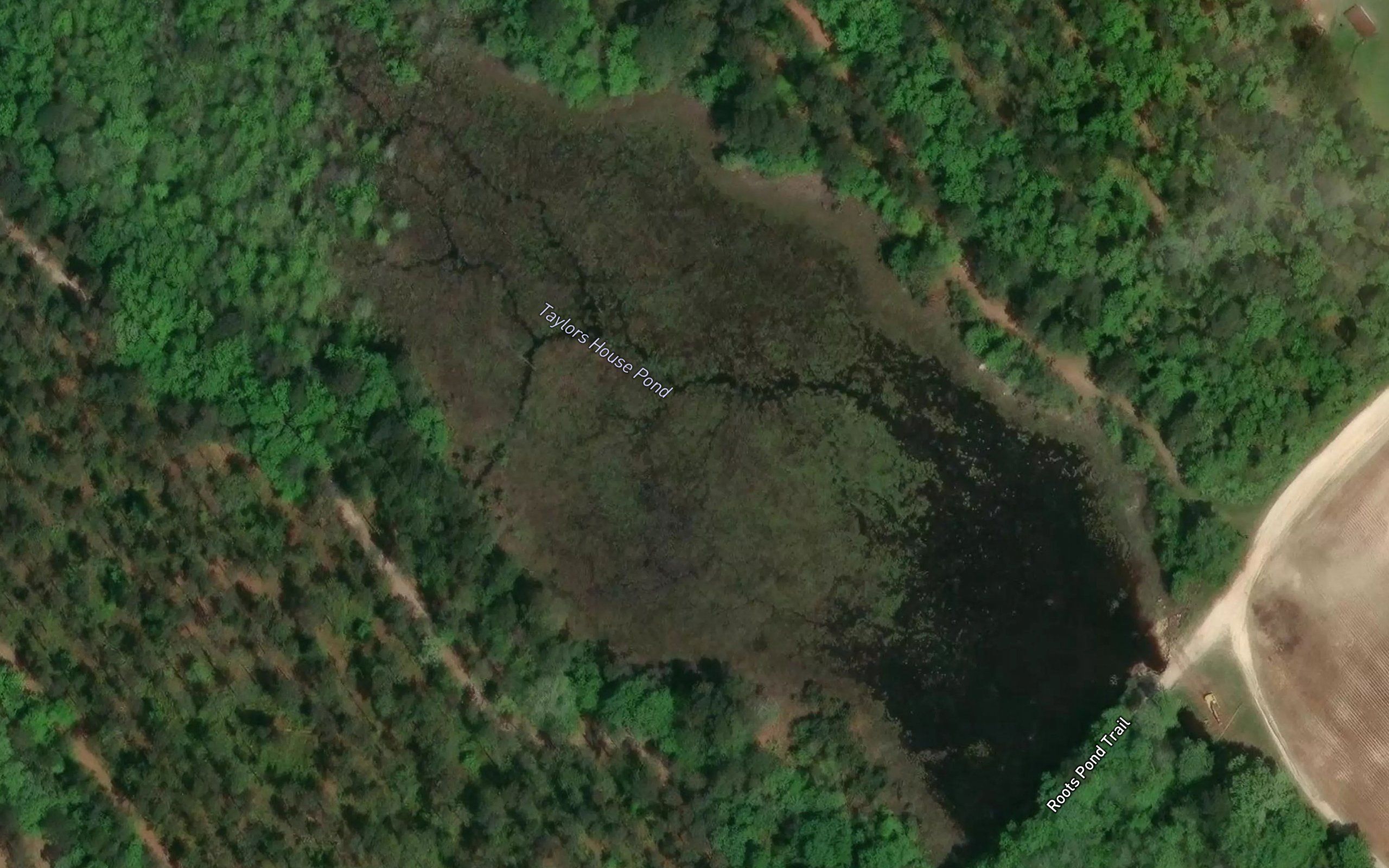 Taylors House Pond