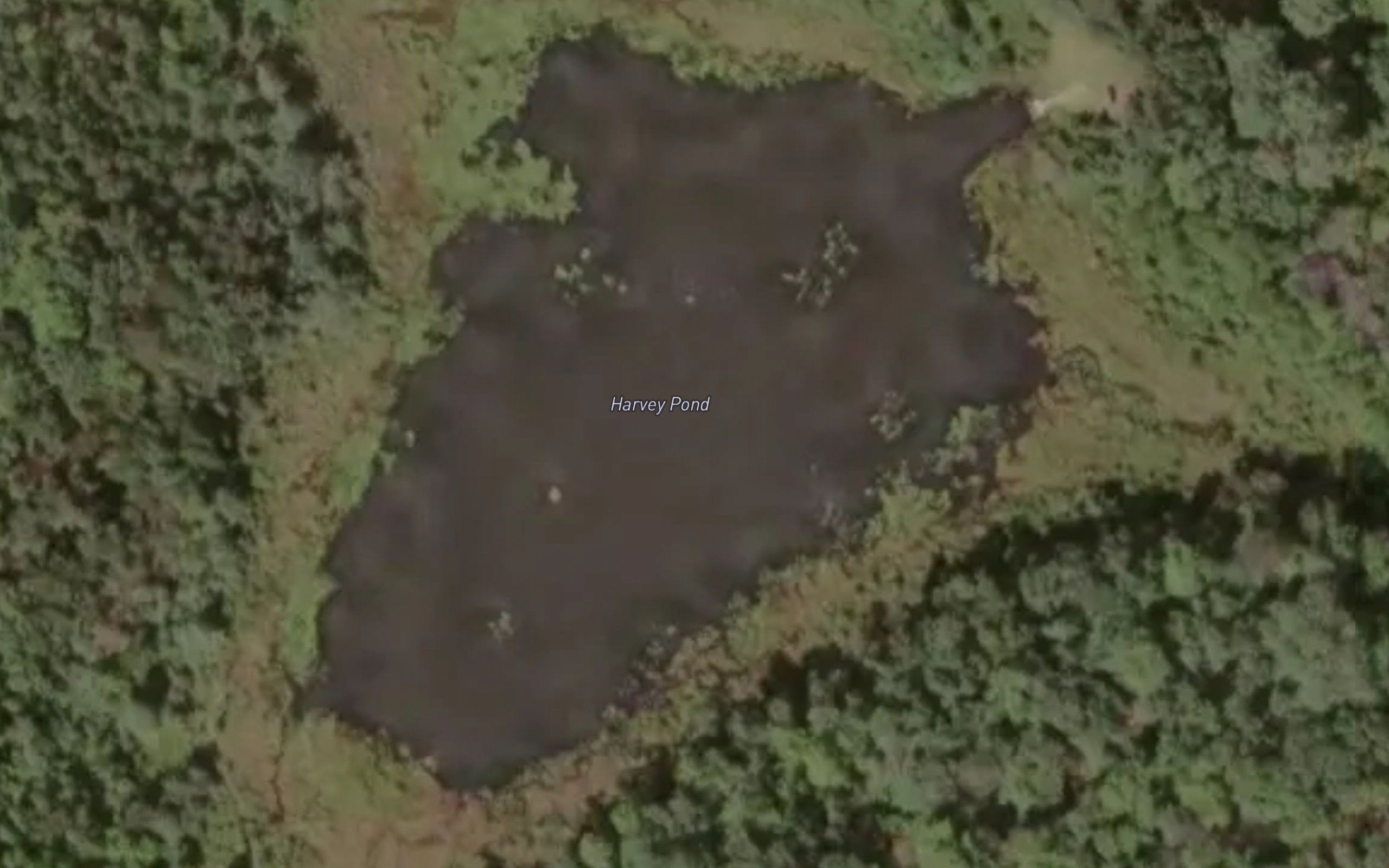 Harvey Pond