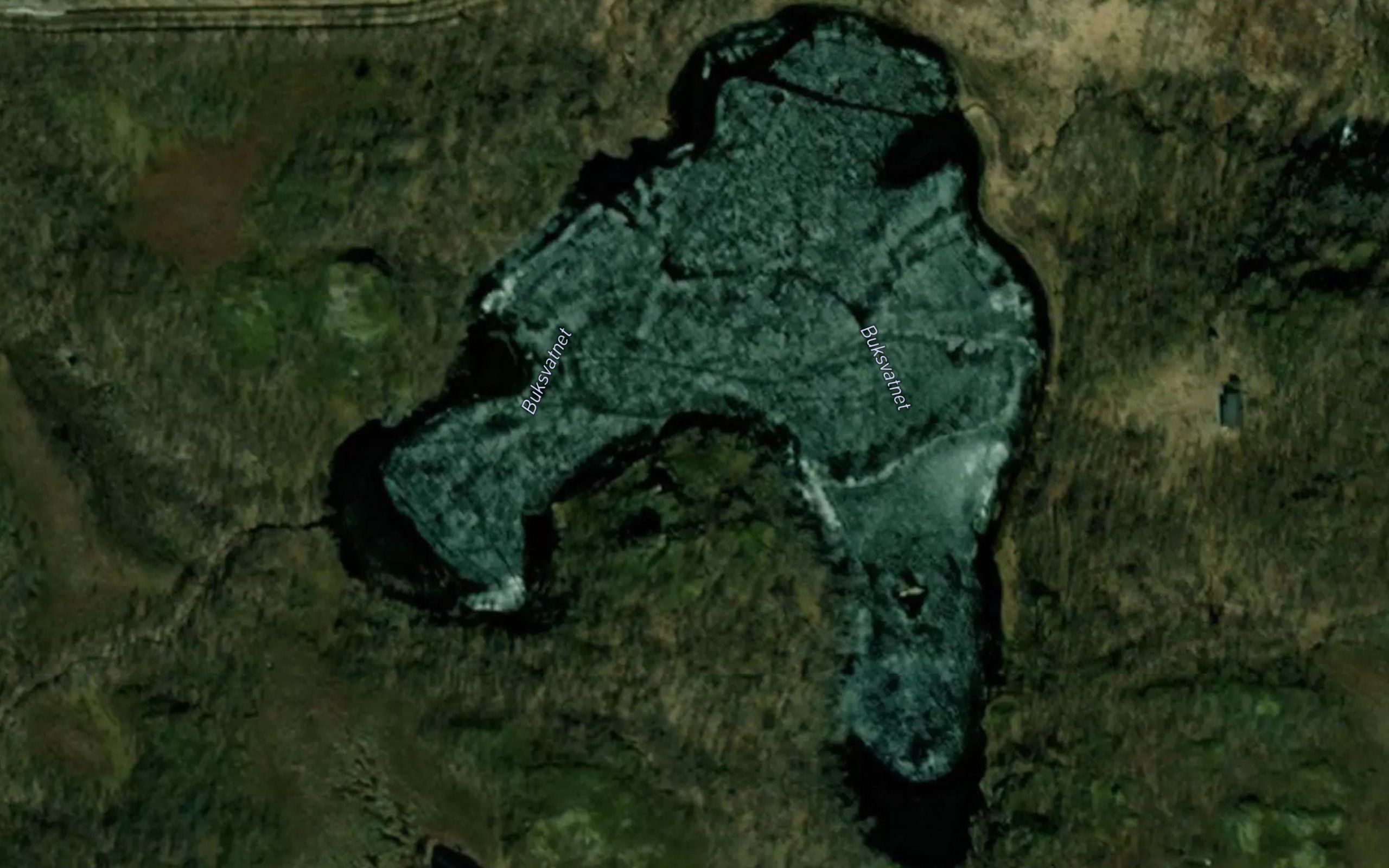 Buksvatnet