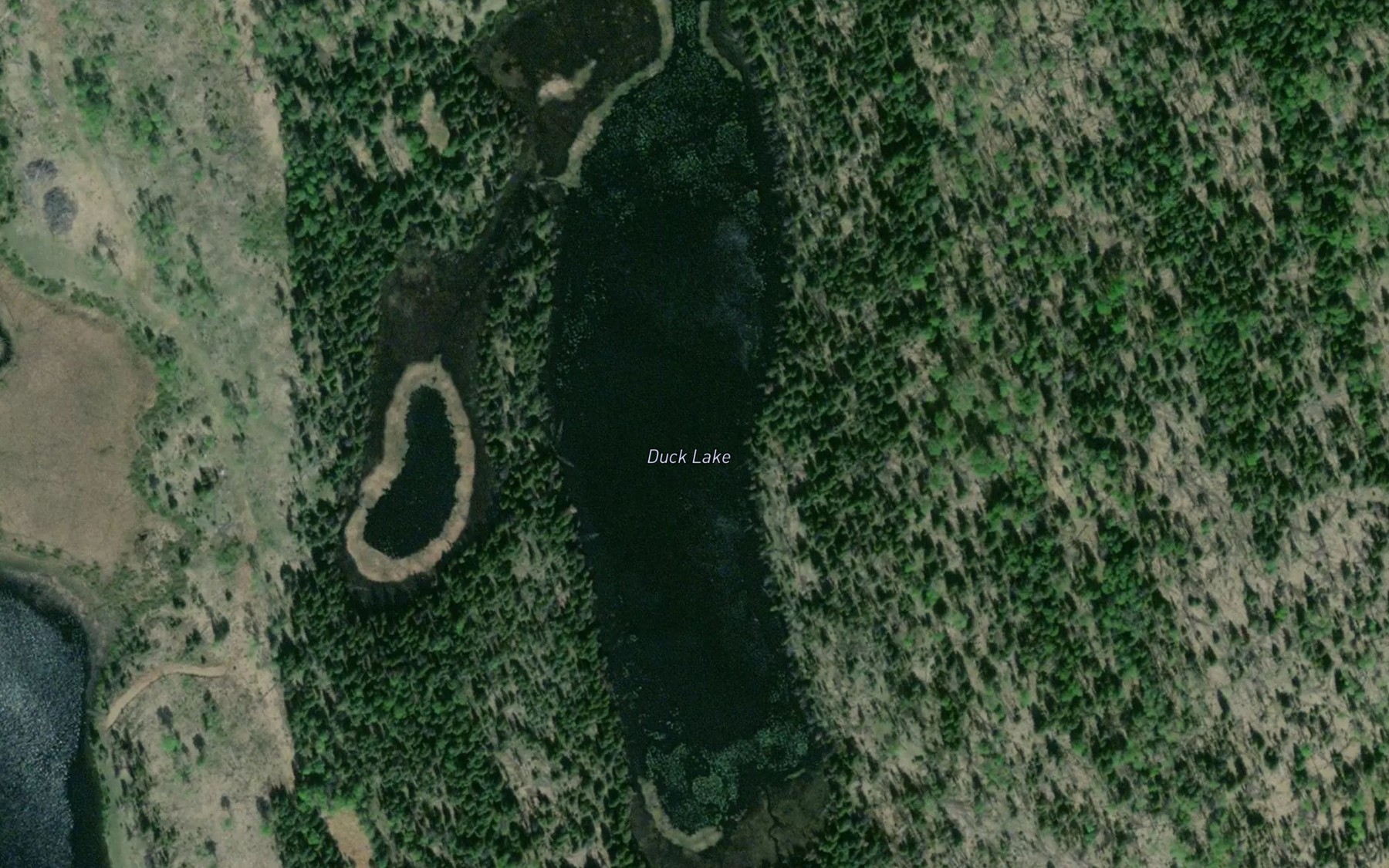 Satellite map of the Duck Lake