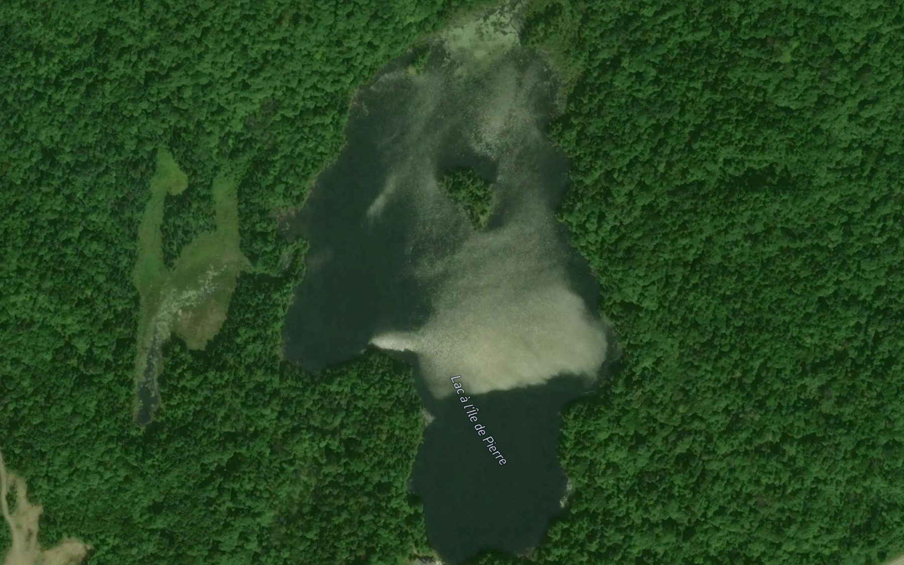 Satellite map of the Lac a l'Ile de Pierre