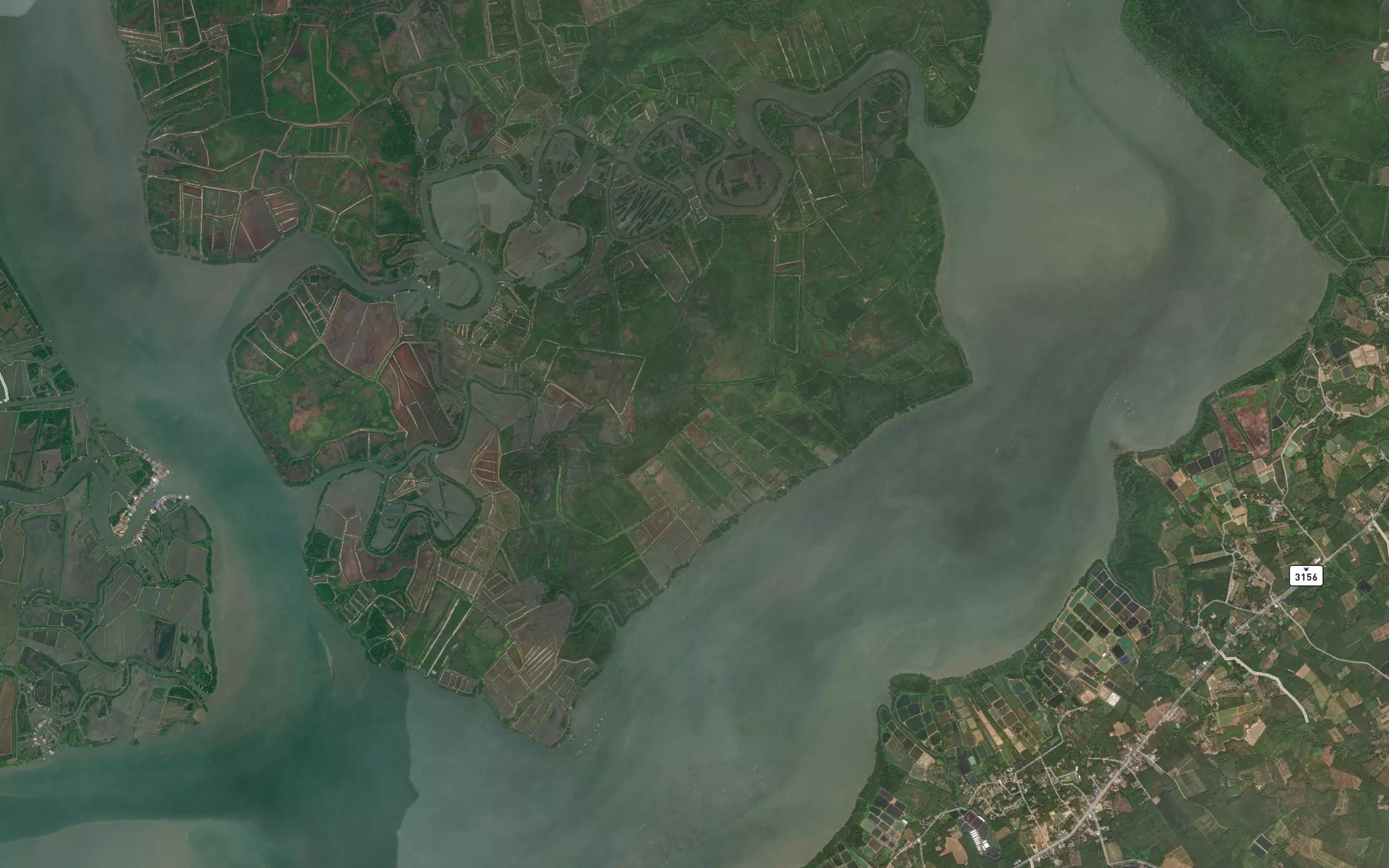 Nong Yai