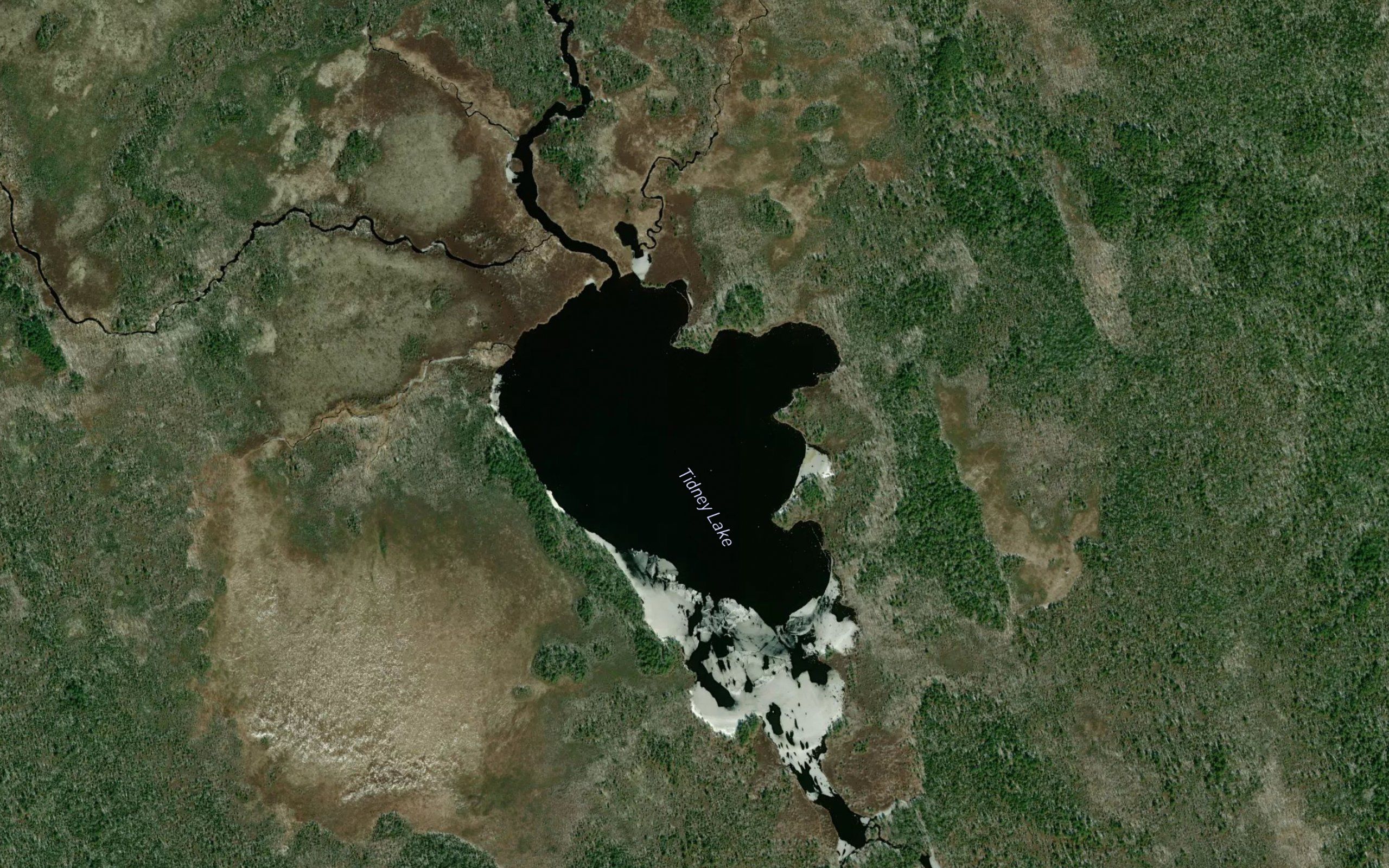 Tidney Lake