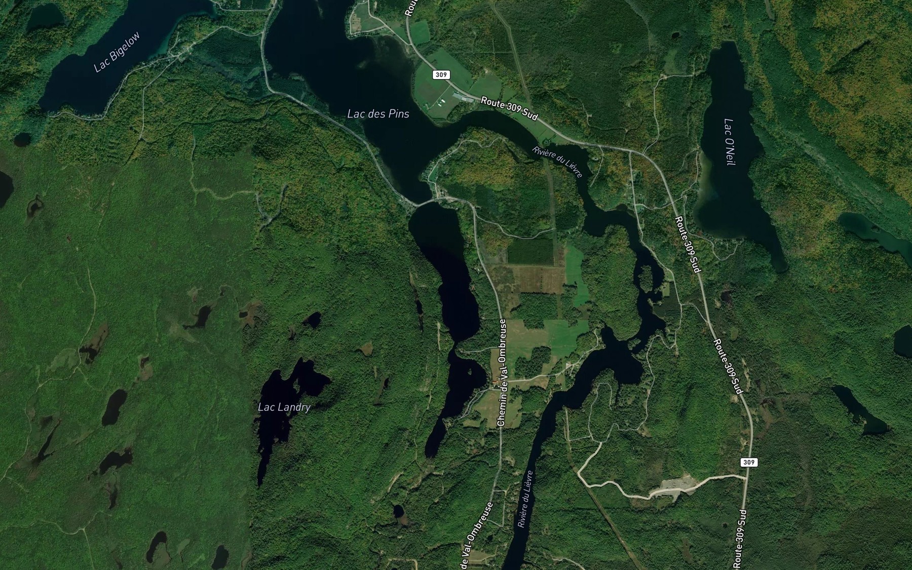 Satellite map of the Lac Forgeron