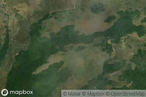 Morichal Los Caribes