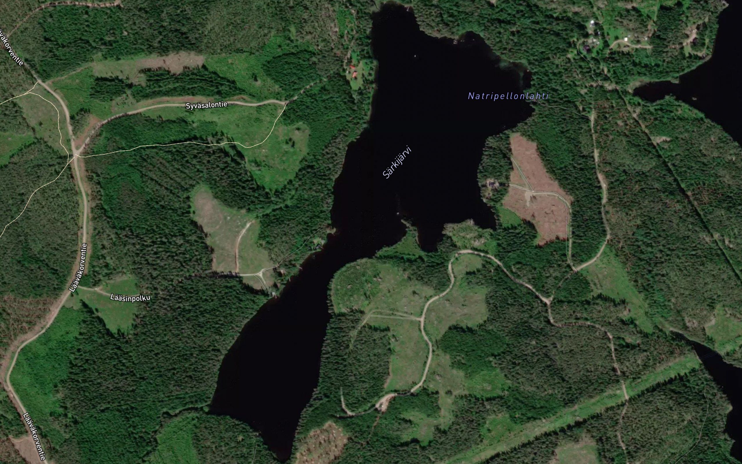 Natripellonlahti