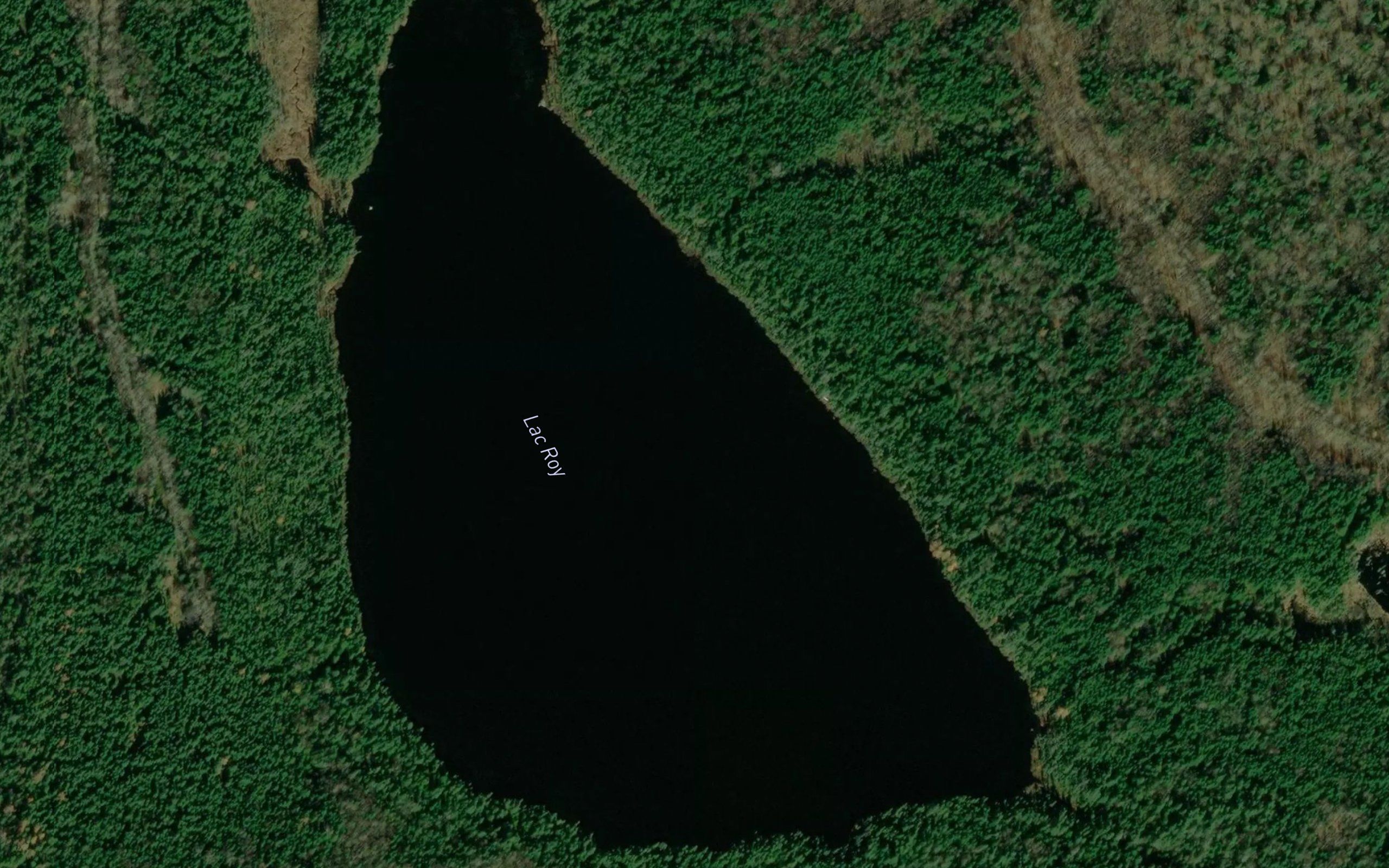 Lac Roy