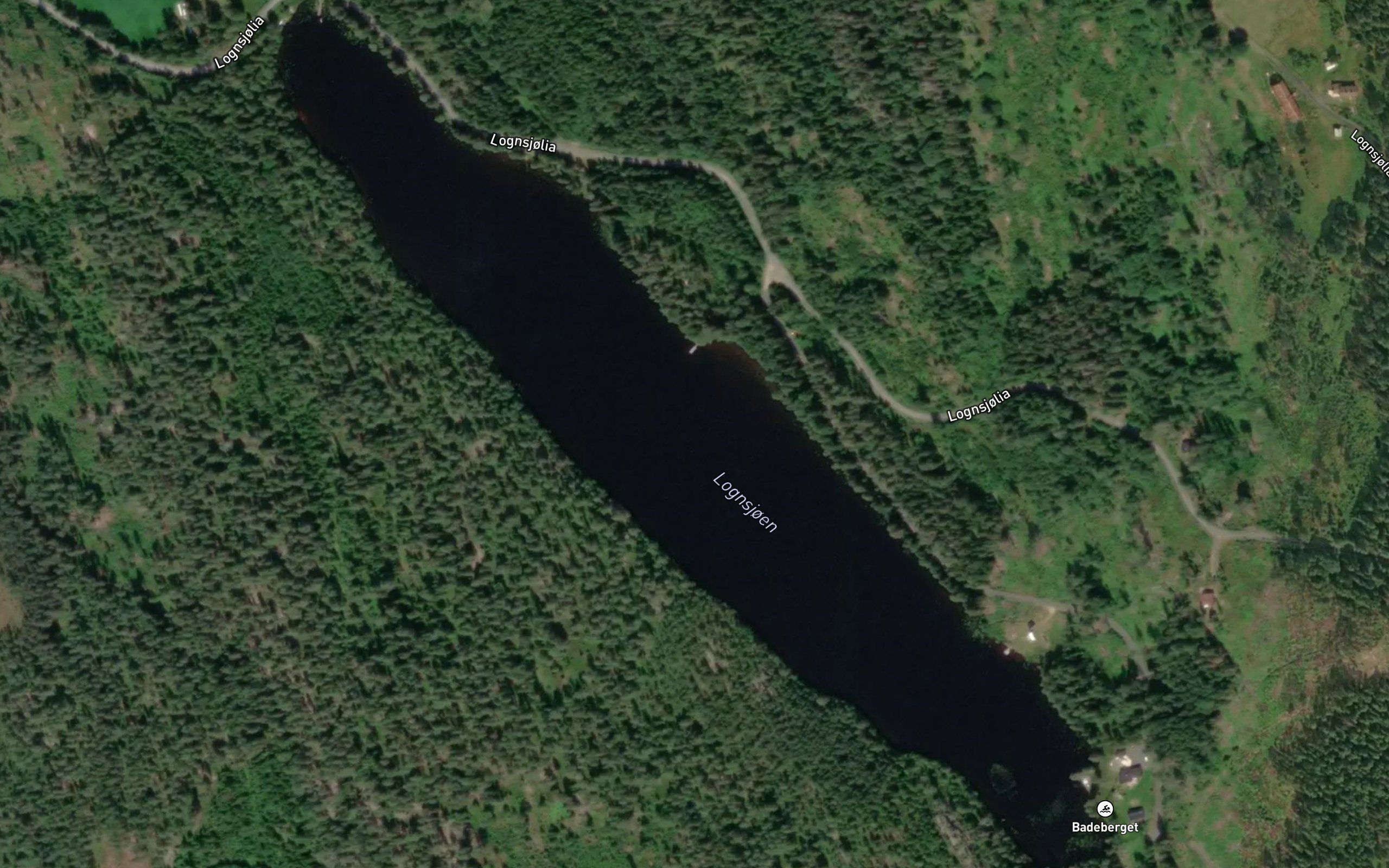 Lognsjoen