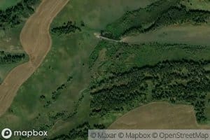 Bol'shaya Kozlachikha