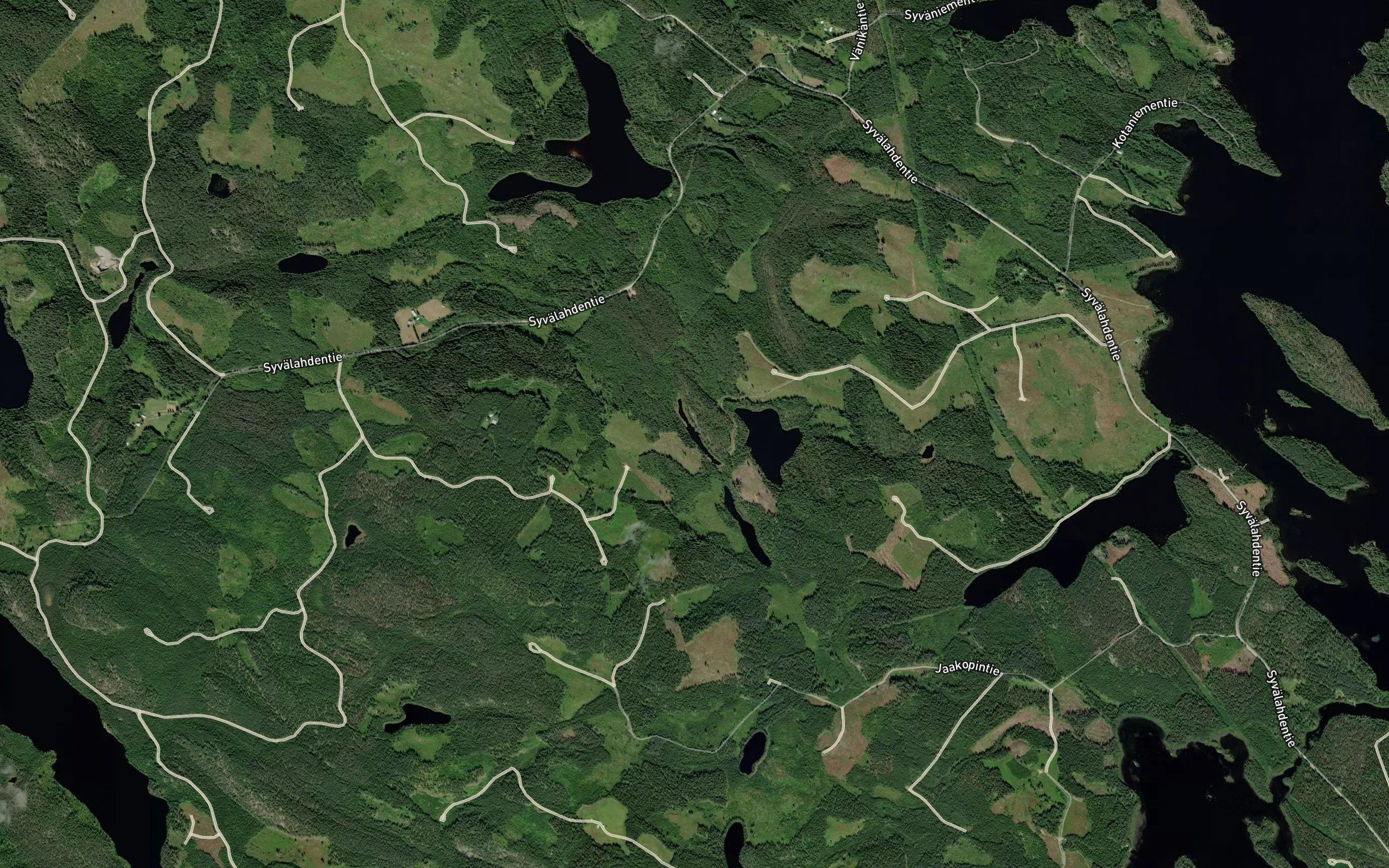 Soikealampi