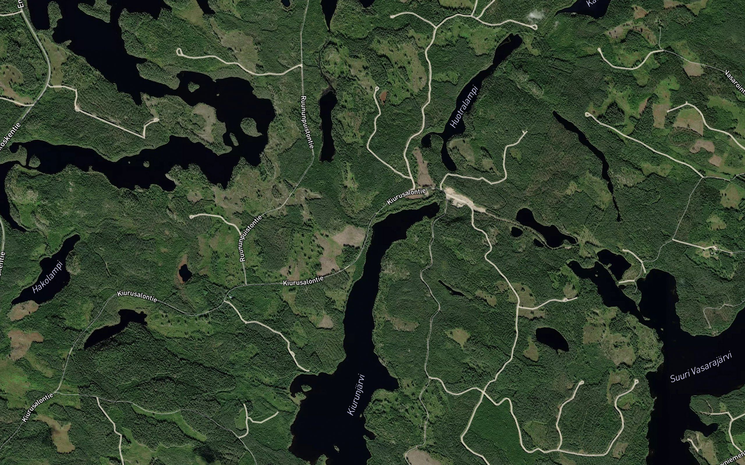 Paskolamminoja