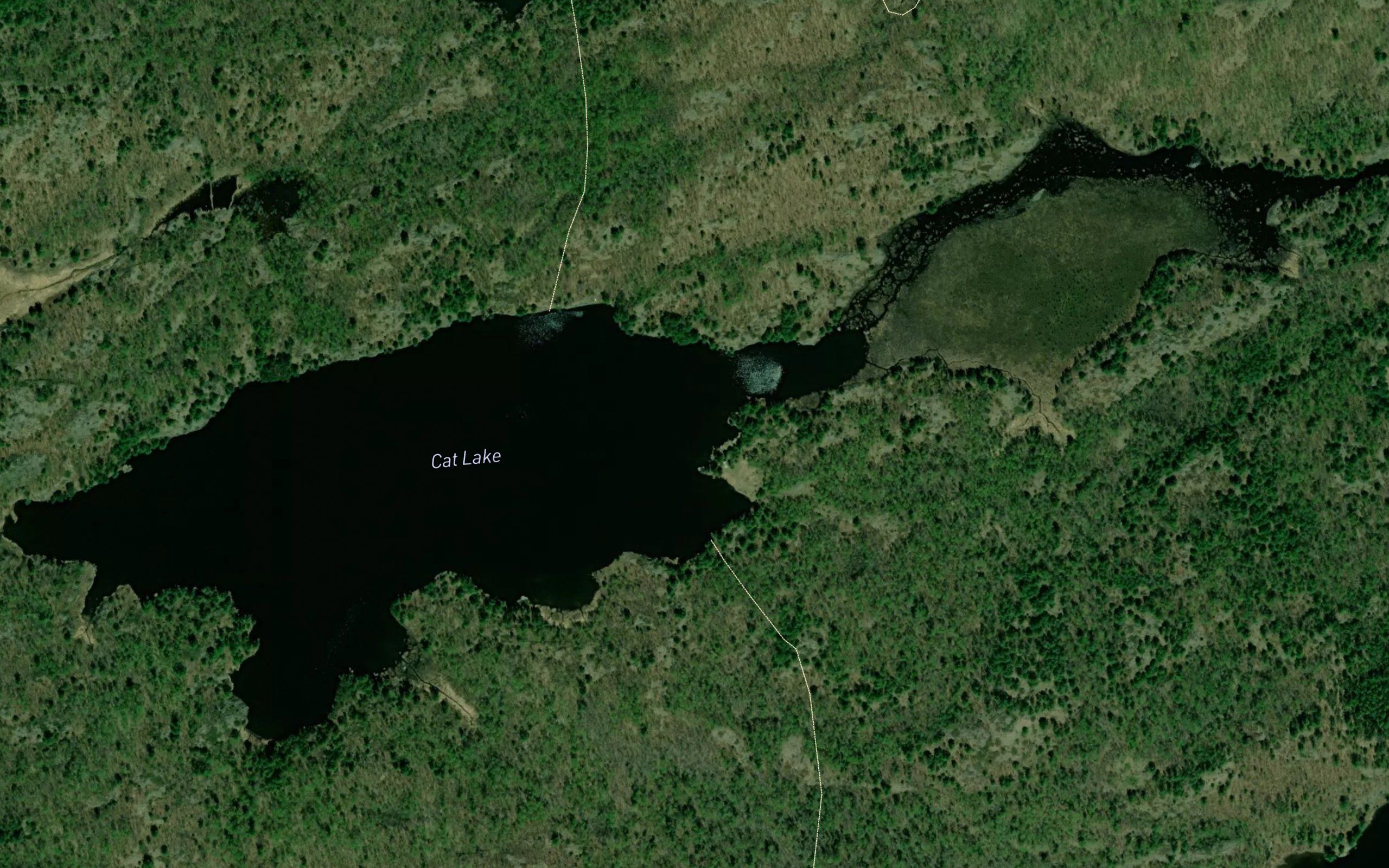 Cat Lake
